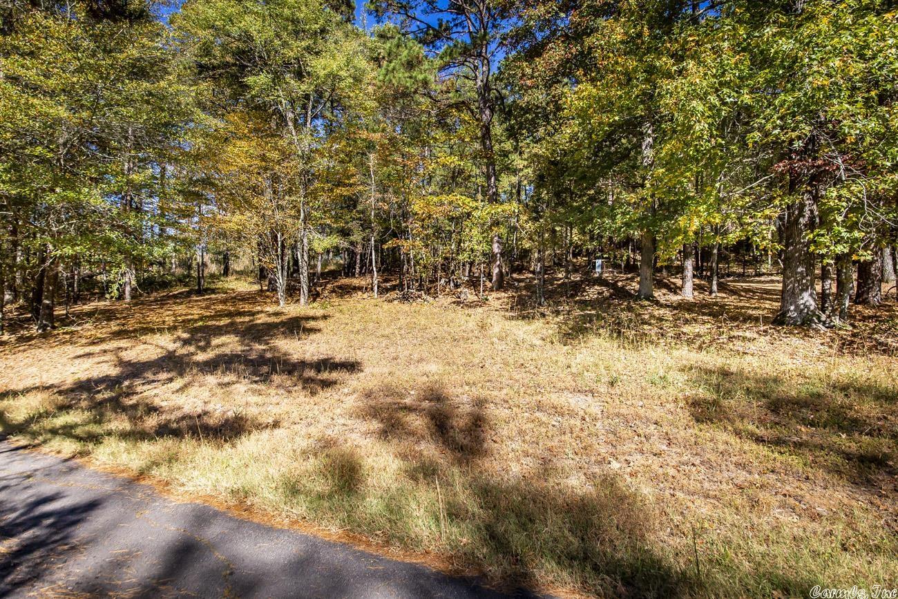 Shirley Original - Land