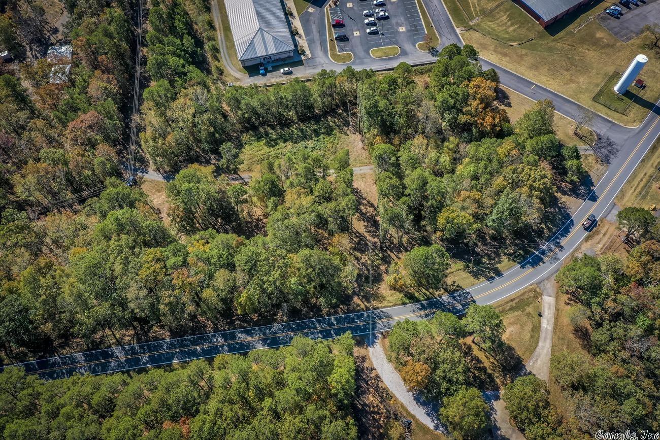 Shirley Original - Land