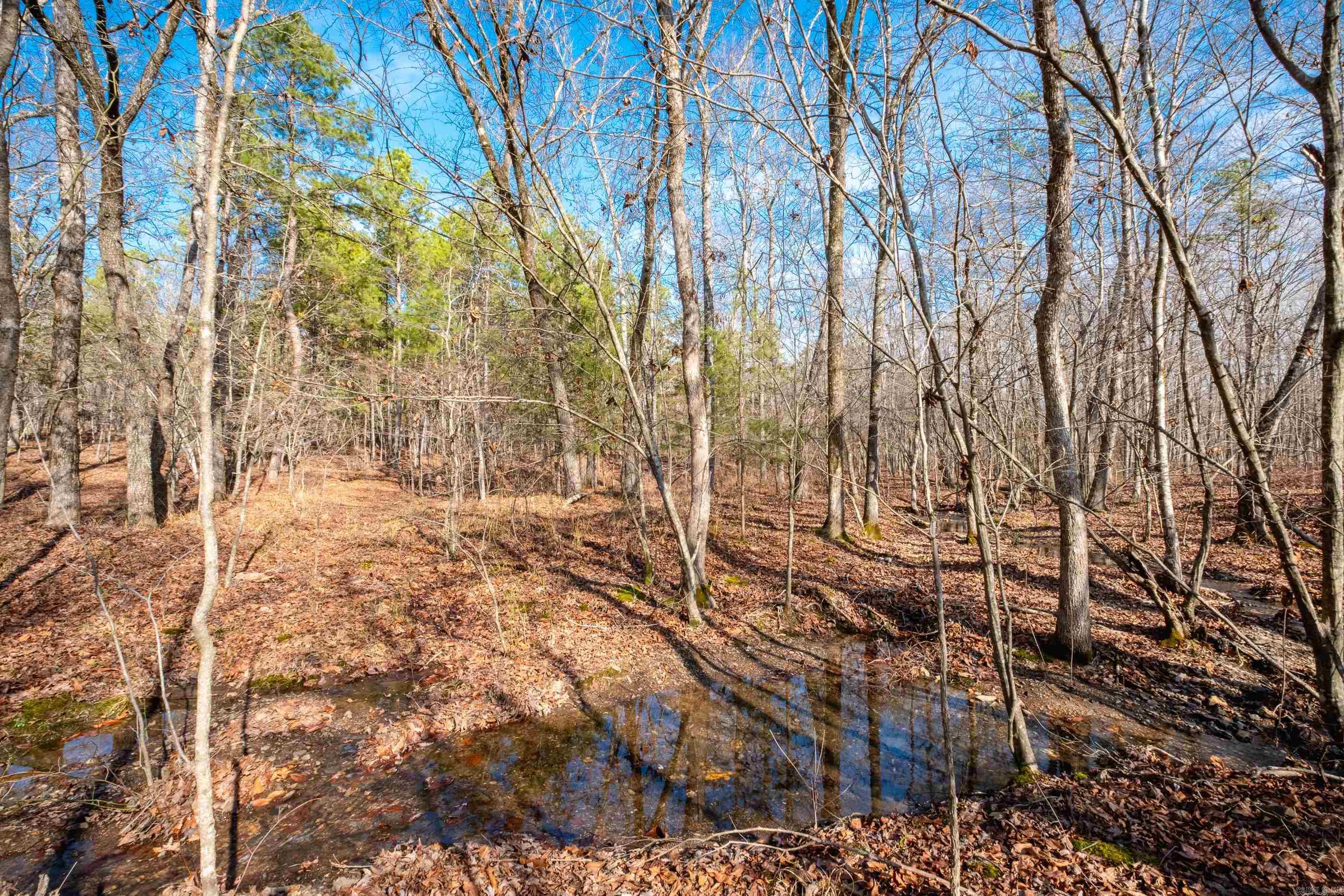 Not in Subdivision - Land