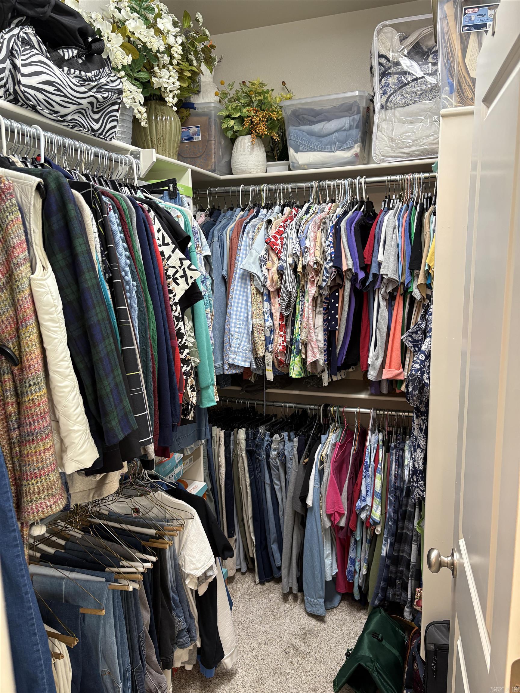 THE COVE - Residential