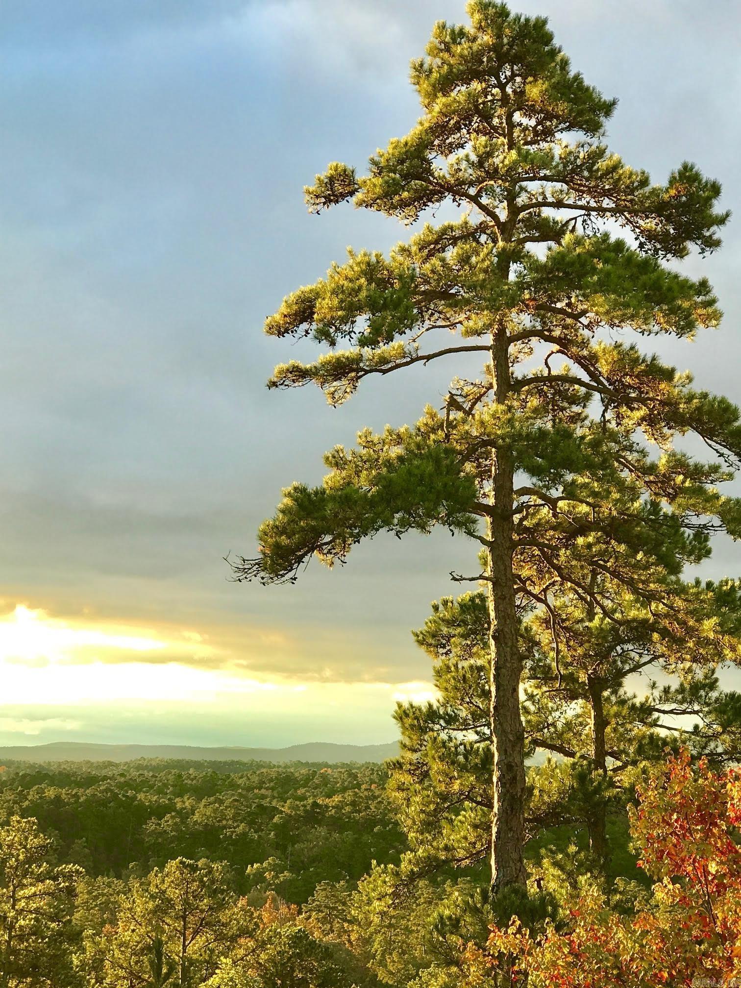 Ciclamor - Residential