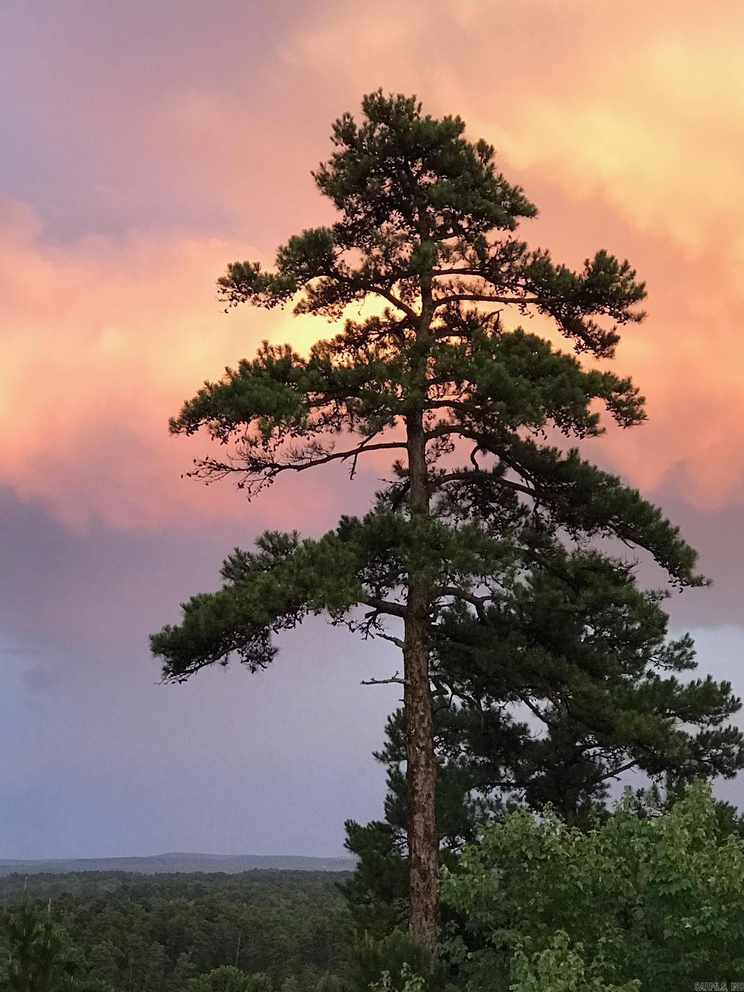 Ciclamor - Residential