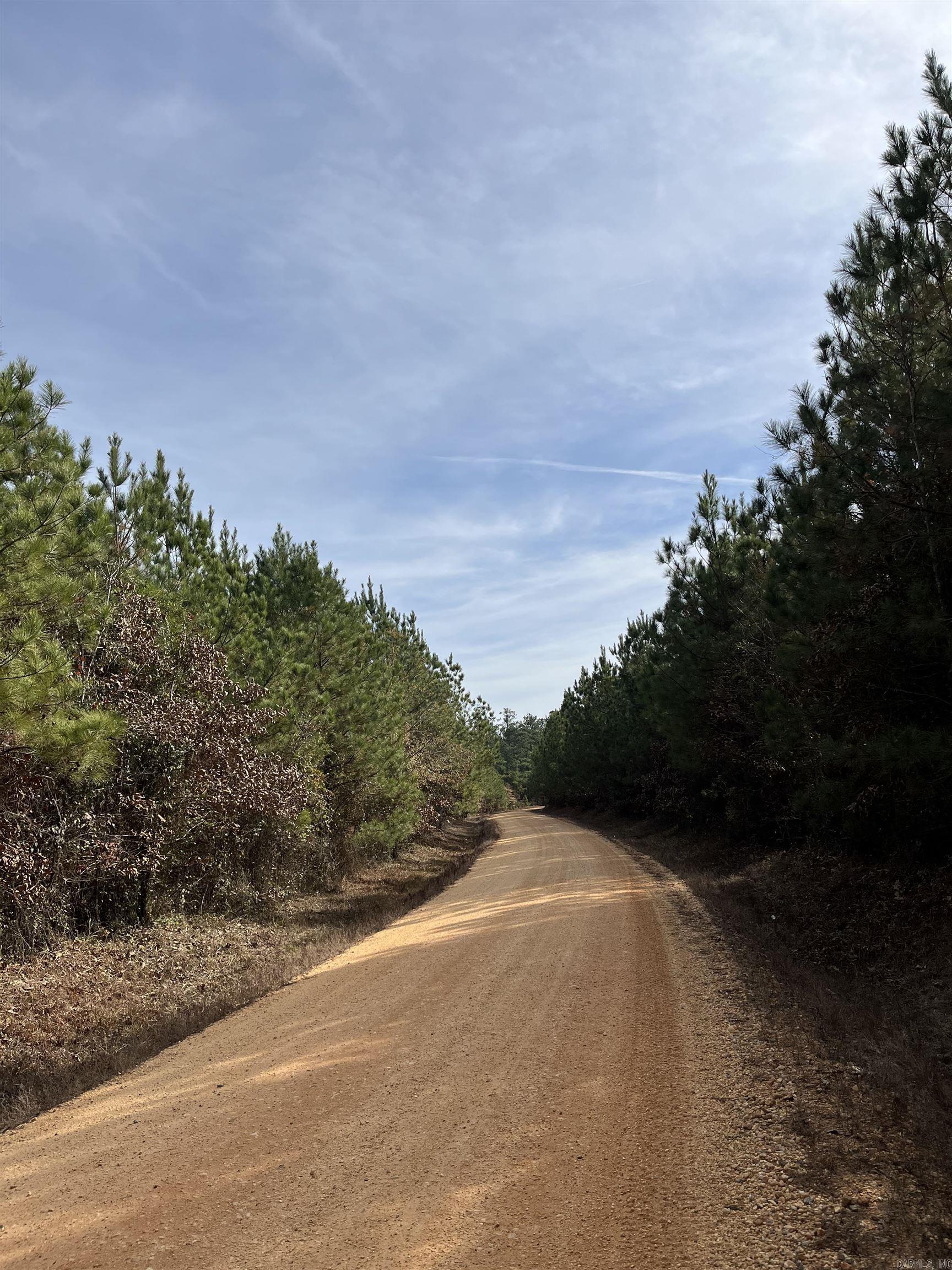 Beautiful acreage to build your dream home! Completely wooded and perfect area for hunting and livestock. Mobile Homes allowed. No restrictions.