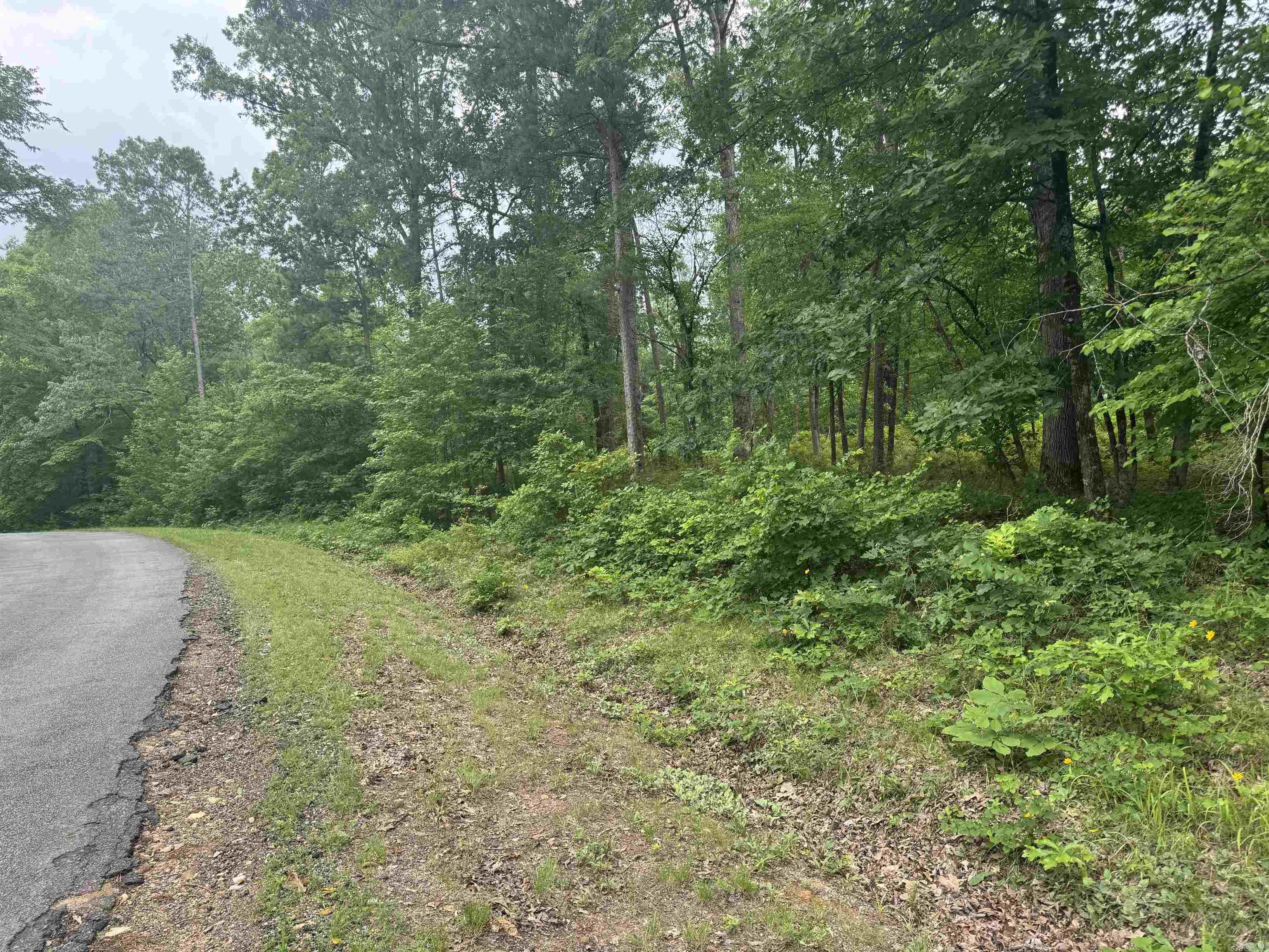 Don't miss this beautiful, nature-filled lot in desirable Lakeside School District, nested withing the gated Diamondhead community. Surrounded by serene trees, mountain views, and frequent deer sightings, this property offers peaceful living with incredible amenities! Enjoy golf, large swimming pool, kids playground, pickle ball courts, tennis courts, basketball courts, library, exercise room, and more. Just minutes from Lake Catherine State Park that offers lake access, hiking trails, camping, and picturesque waterfall. All this at an unbeatable price.