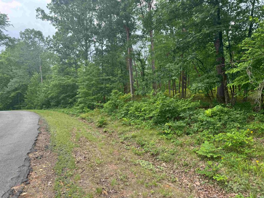 Don't miss this beautiful, nature-filled lot in desirable Lakeside School District, nested withing the gated Diamondhead community. Surrounded by serene trees, mountain views, and frequent deer sightings, this property offers peaceful living with incredible amenities! Enjoy golf, large swimming pool, kids playground, pickle ball courts, tennis courts, basketball courts, library, exercise room, and more. Just minutes from Lake Catherine State Park that offers lake access, hiking trails, camping, and picturesque waterfall. All this at an unbeatable price.