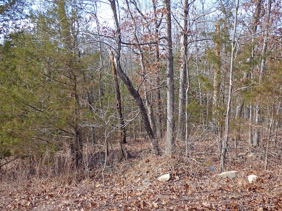 Cherokee Village - Land