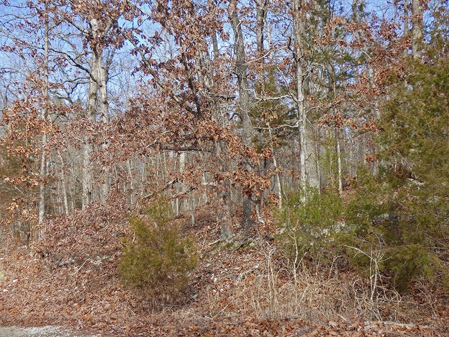 Cherokee Village - Land