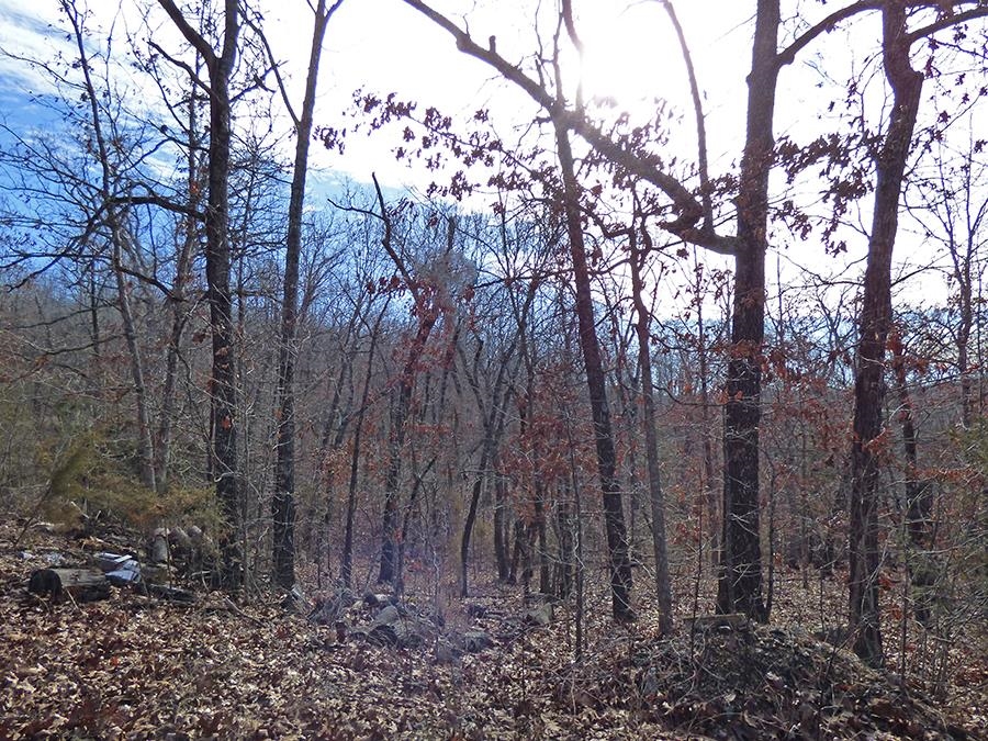 Cherokee Village - Land