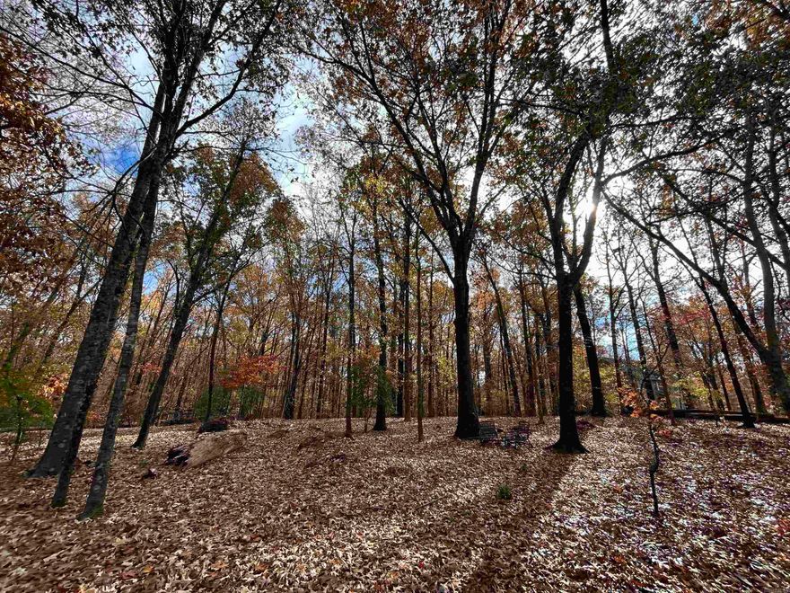 Considering building a home in rural St. Francis County while still being near town? Look no further! Less than a five-minute drive from Forrest city, you'll find this great lot located in the "Tall Trees" neighborhood which features 1.25+/- acres with nearby access to water, electric and fiber optic internet services.