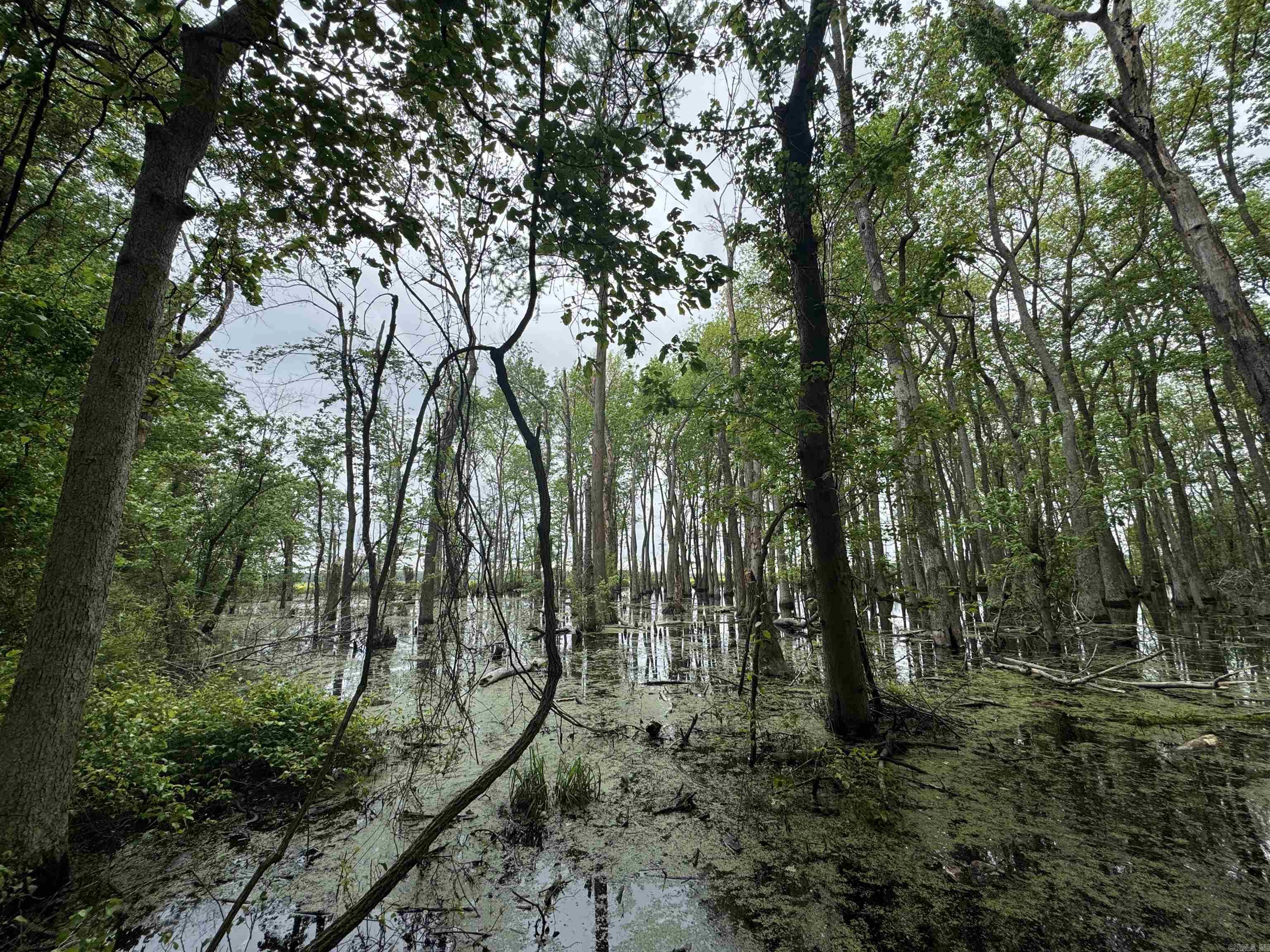 Metes & Bounds - Land