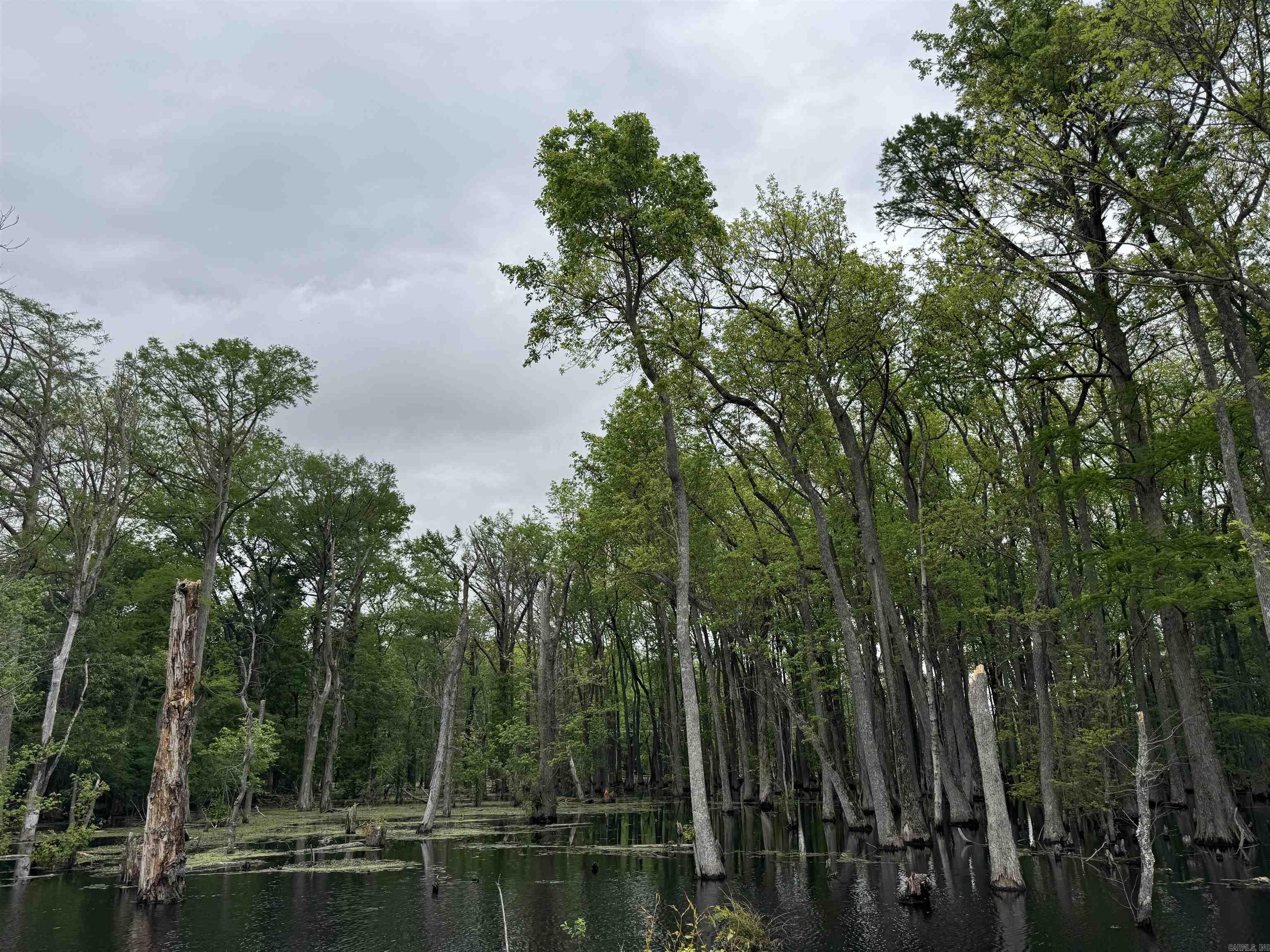 Metes & Bounds - Land