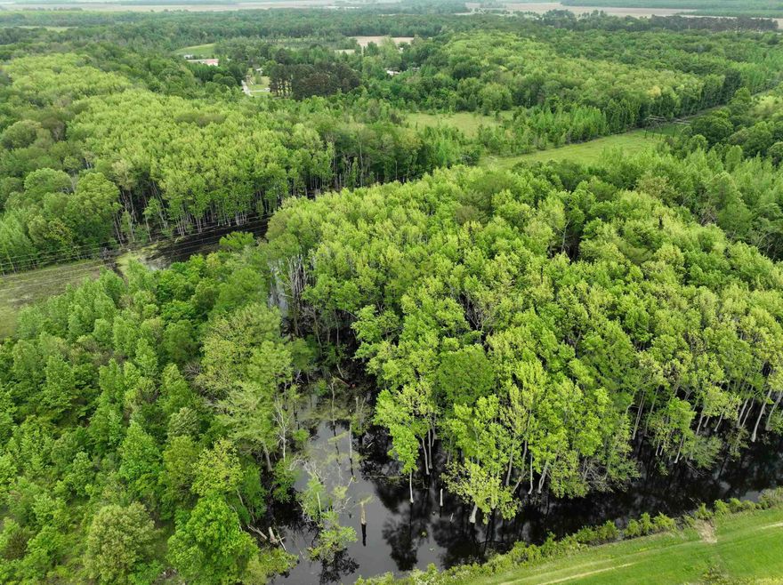 The Cypress Creek 40 is a fantastic property with incredibly easy access and would be ideal for anyone looking for a place with whitetail deer, ducks, and small game, along with a great building site.   This 40-acre property boasts beautiful flooded hardwood timber, featuring a flood gate on the southern boundary perfect for managing water for waterfowl enthusiasts. It even has an existing blind. The current owner has successfully leased it to duck hunters for years, consistently seeing birds. This lease is on a year-to-year basis and can be continued for income or terminated immediately.   The remaining acreage is a diverse mix of mast-producing hardwoods, softwoods, and natural grassy areas, creating excellent bedding and feeding areas for wildlife. As you'll see in the photos, the property is bordered by farm fields to the west and south, providing additional food sources.   The property offers a convenient paved road entrance leading to an excellent building location with easy access to rural water and electricity. It's located approximately a quarter of a mile off AR Hwy 64, making it a perfect spot to build a camp and hunt right out your back door.