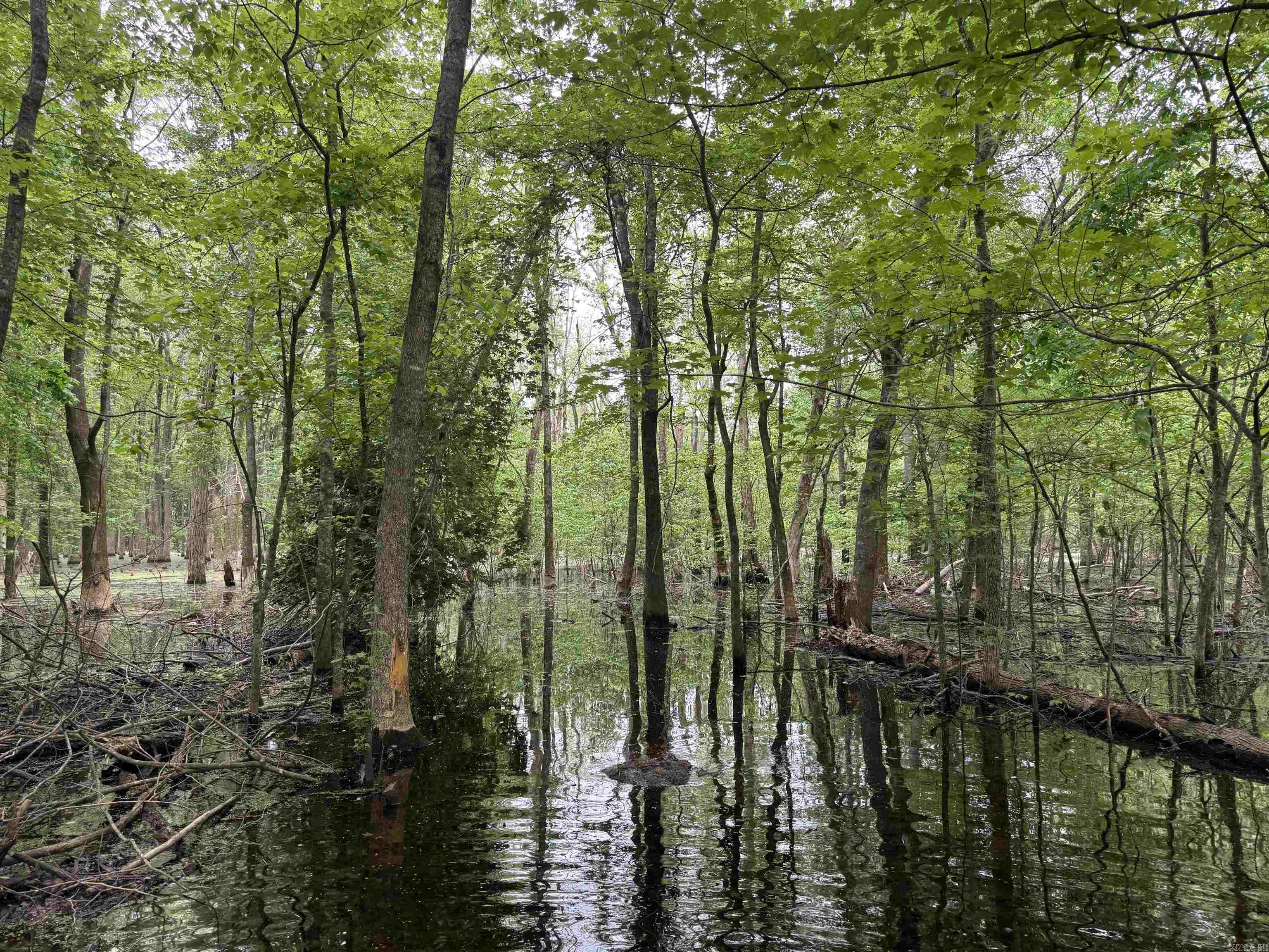 Metes & Bounds - Land