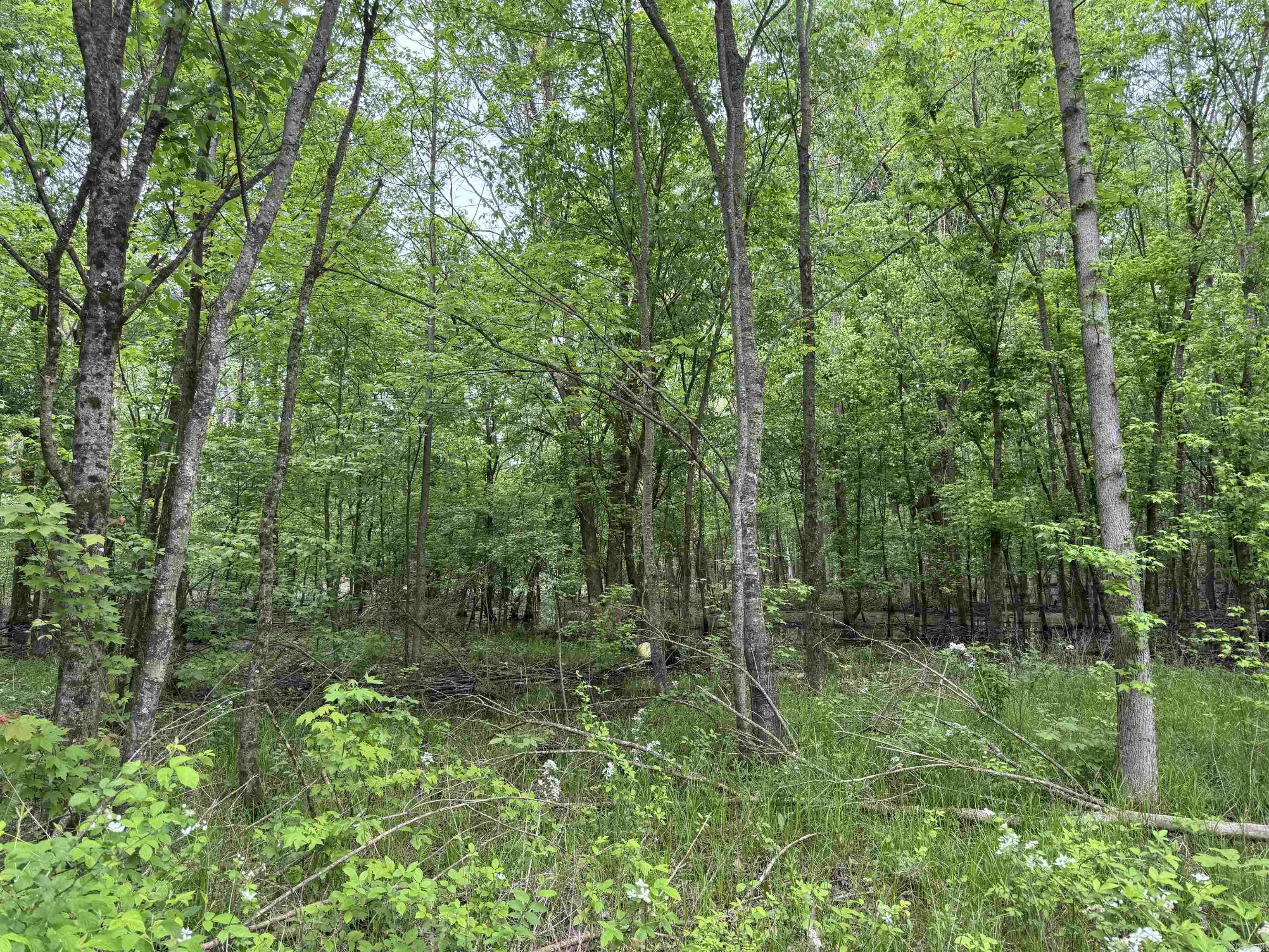 Metes & Bounds - Land