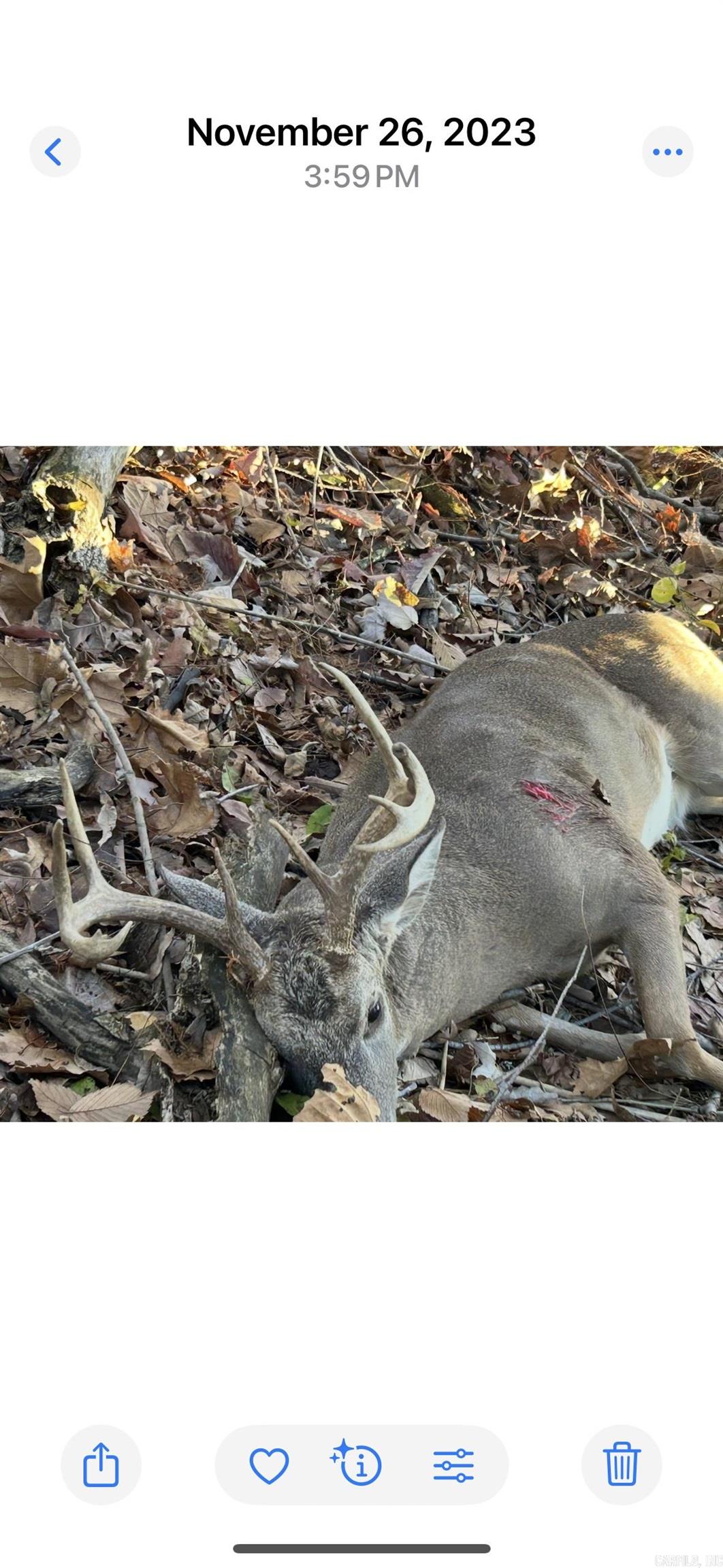 Metes & Bounds - Land