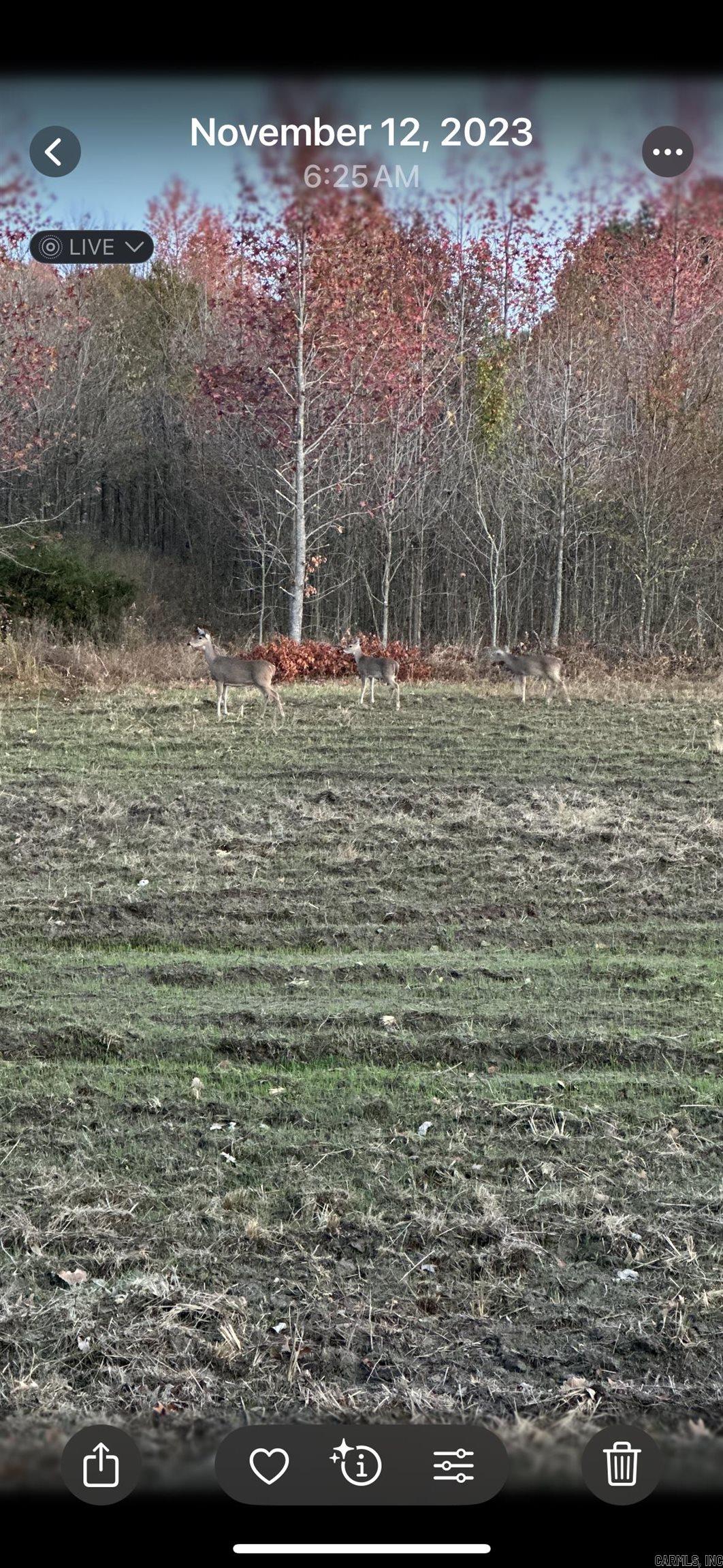 Metes & Bounds - Land