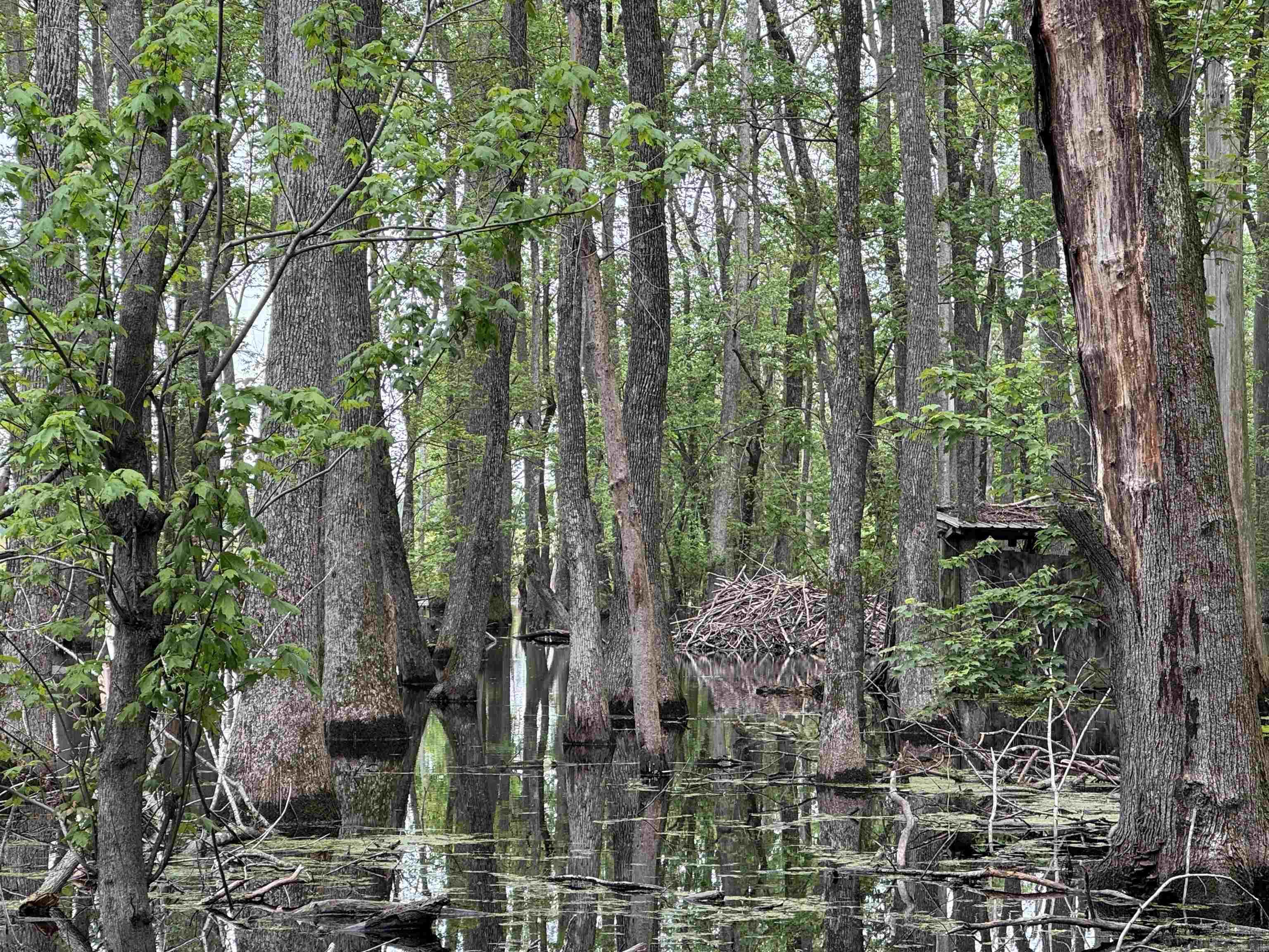 Metes & Bounds - Land