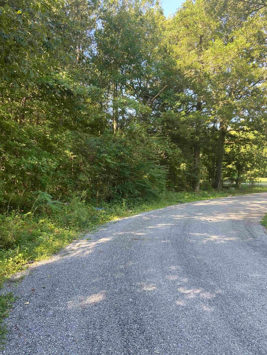 Nice size wooded lot in a quiet neighborhood. Area is within 30 minutes of Little Rock, or Pine Bluff areas. County Data shows Woodson Lateral as part of the address. But this property is located on Main St of Woodson.