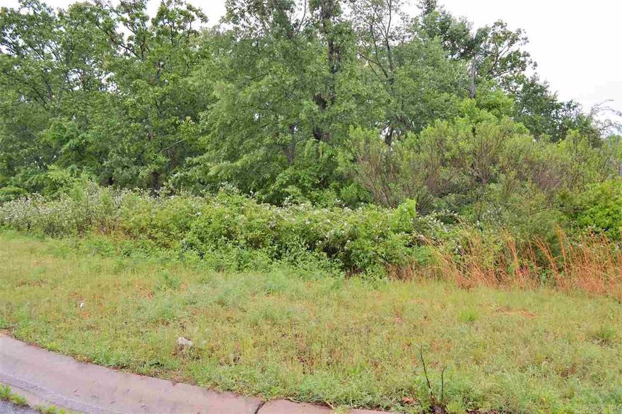 Located in Greystone Subdivison near Cypress Creek Golf Course.   Build your dream home and enjoy 2--18 hole golf courses.  Cabot School District, BOA, no mobiles.  Call today for more information.