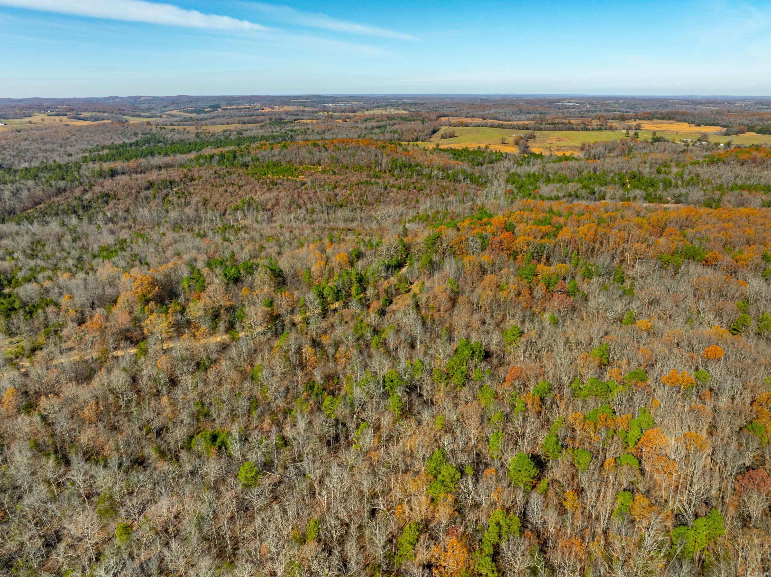 40 +/- Acres of Prime Ozark Hunting Land – Just Outside Cave City, Arkansas Located in Sharp County just outside of Cave City, this 40 +/- acre tract offers the perfect blend of privacy, wildlife, and convenience. With easy access off Peter Martin Hill Road and utilities available at the road, this property is ideal for building a hunting cabin or private getaway. Loaded with mature hardwoods, gently rolling terrain, and ideal spots for food plots, this land is a true hunter’s paradise. Whether you're chasing Whitetail deer or calling in spring turkeys, this property offers incredible opportunities for seasoned hunters and beginners alike. Tucked in the heart of the Ozarks yet minutes from town amenities, you can enjoy peaceful seclusion without sacrificing convenience. There’s even potential for a garden spot or weekend retreat with scenic views. Don't miss your chance to own your slice of the Ozarks! Just a few minutes from Cave City, Batesville and Melbourne.