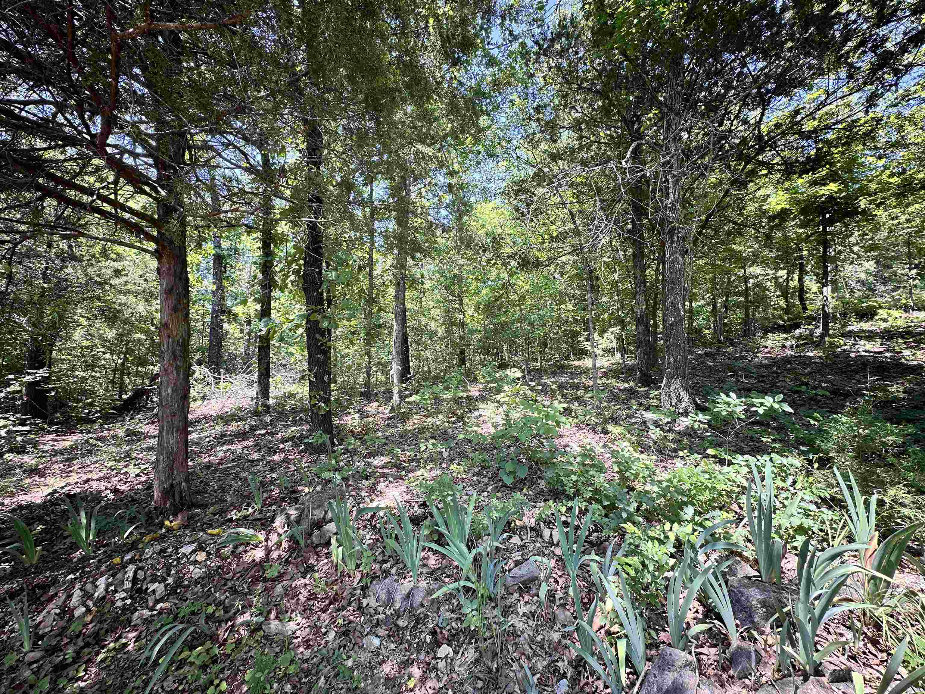 Quapaw - Residential