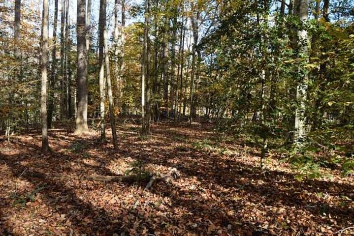 This beautiful vacant lot has many possibilities & would be great for building a single family home! Fairfield Bay is a resort town known for its outdoor activities, including hiking, fishing, boating & golfing. Surrounded by the beautiful Ozark Mountains & Greers Ferry Lake, providing many opportunities for exploration & adventure. Incredible investment opportunity, major discount! Priced to sell in 2 weeks. Only 1 hour and 36 minutes away from Little Rock, AR.
