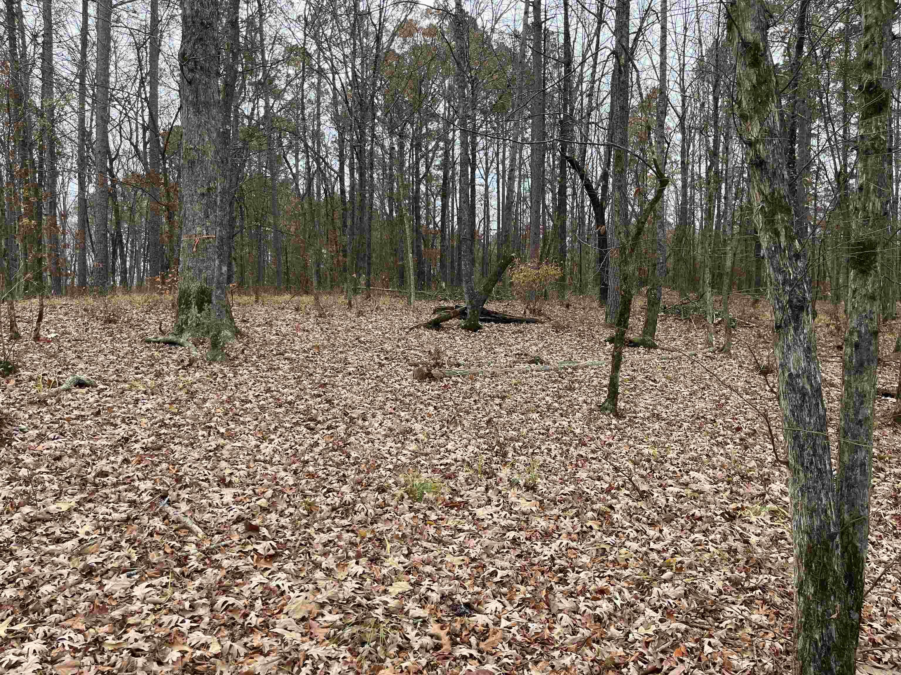 WHITE OAK MANOR - Land