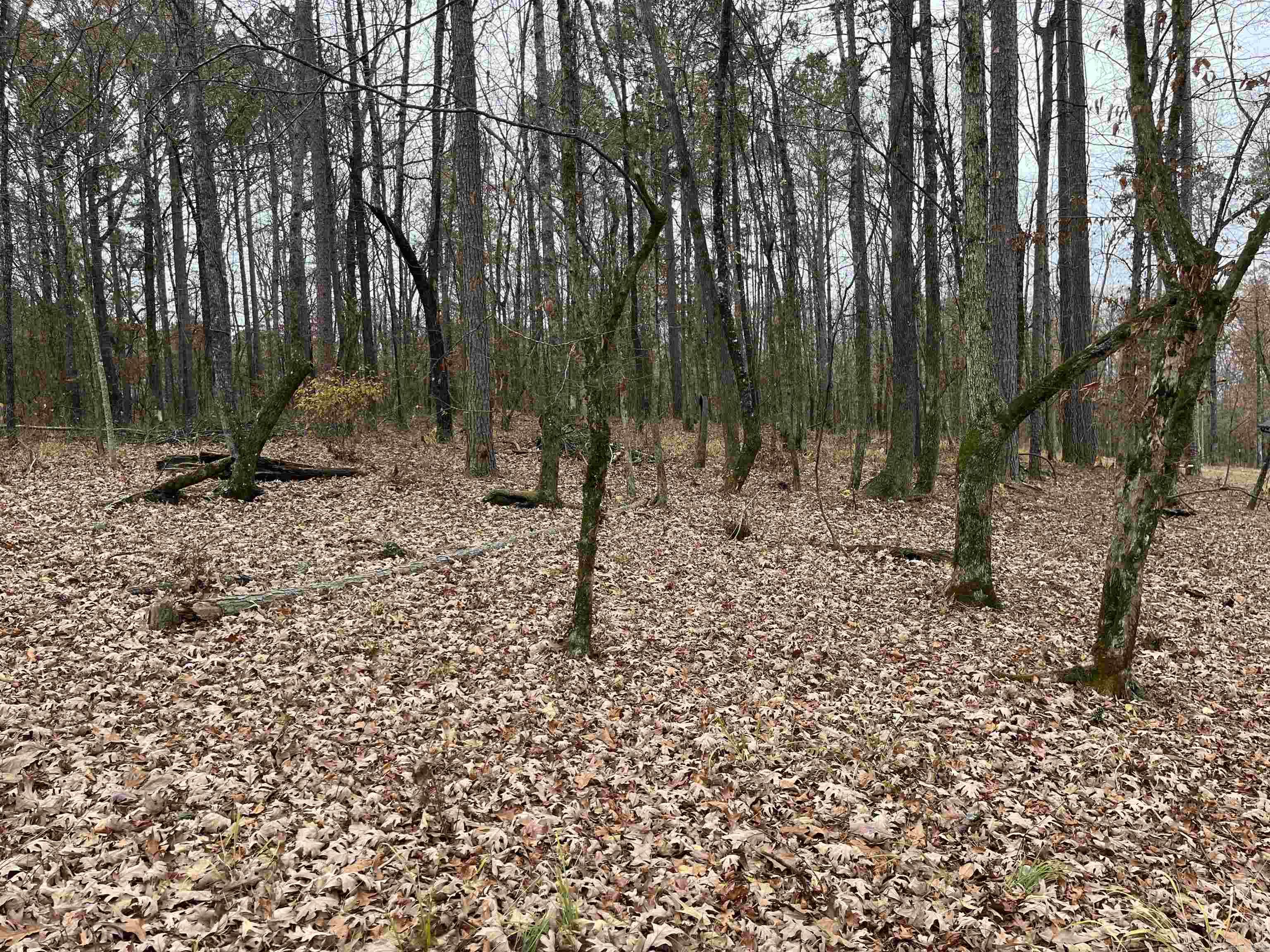 WHITE OAK MANOR - Land