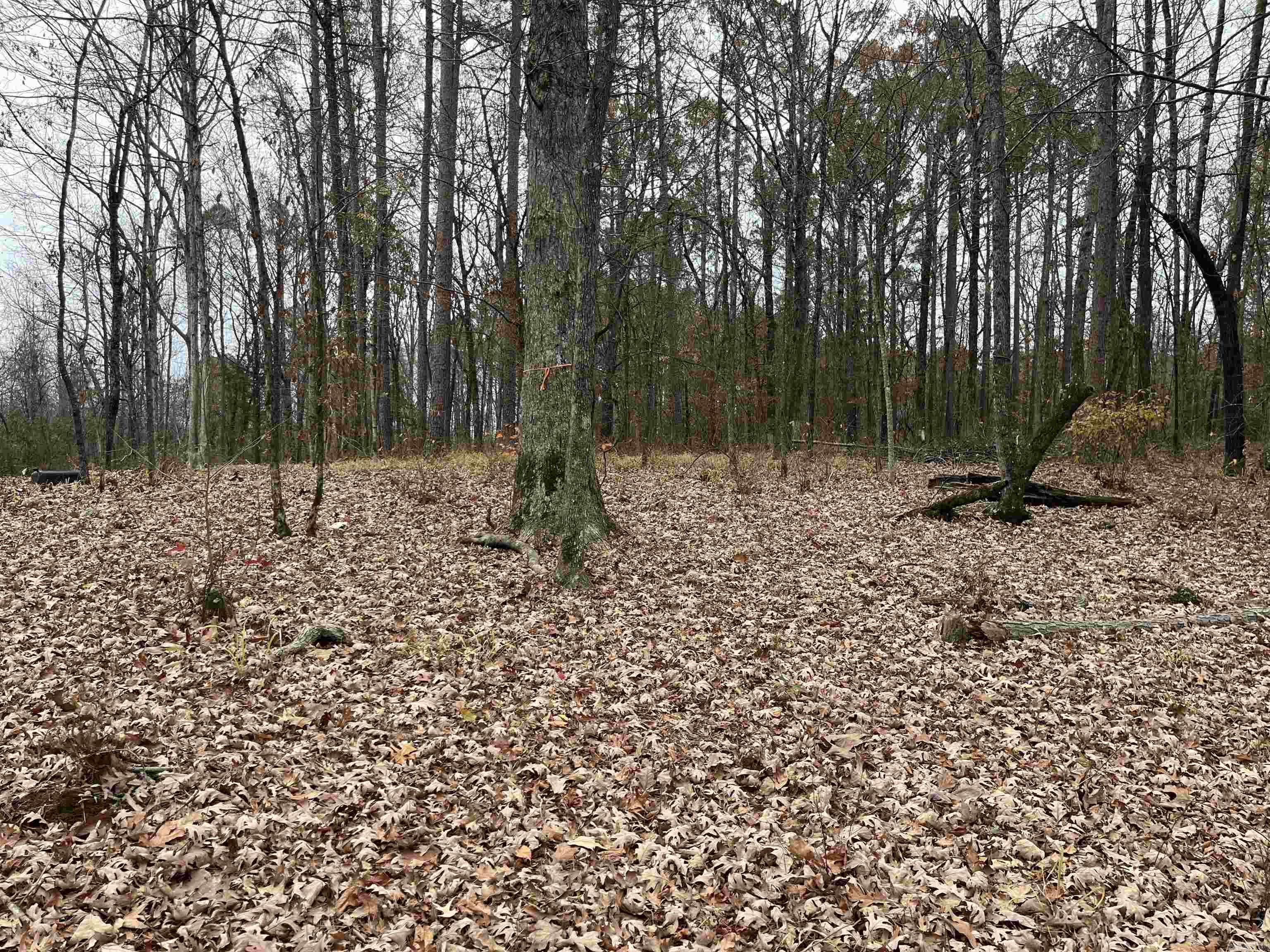 WHITE OAK MANOR - Land