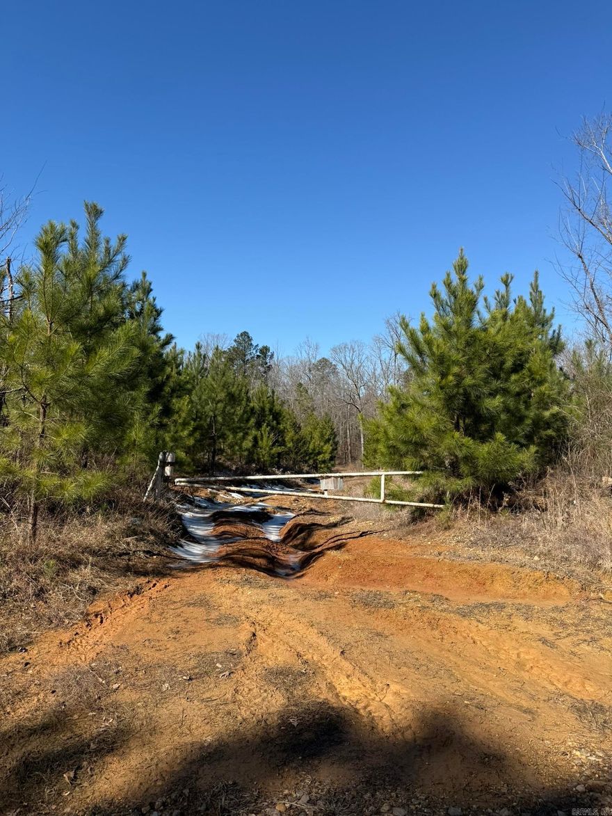 Great land investment opportunity, 80 acres, located south of Blevins, some timber some cleared land with endless hunting/recreational potential.