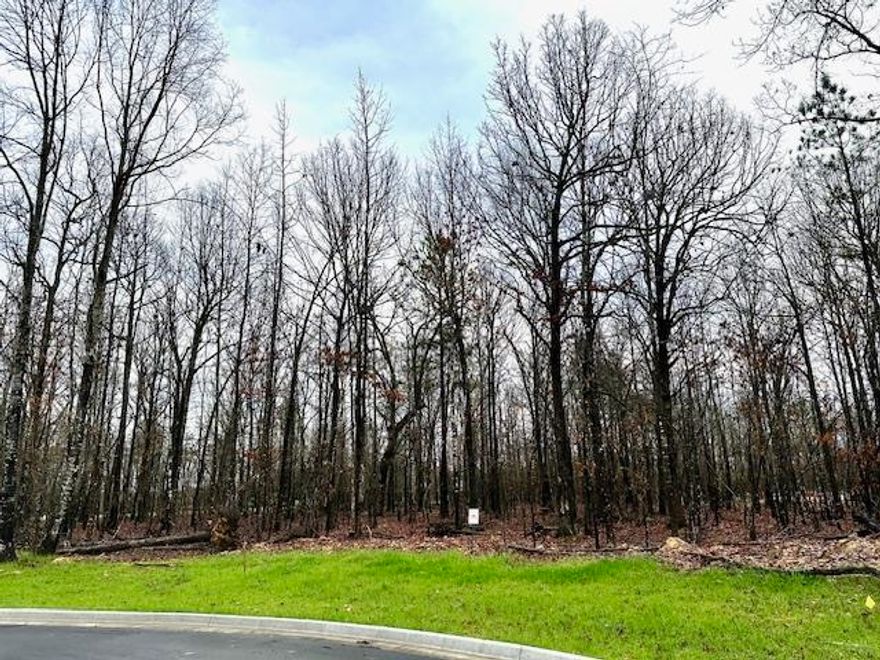 Lot 18 - Devoe Bend Development