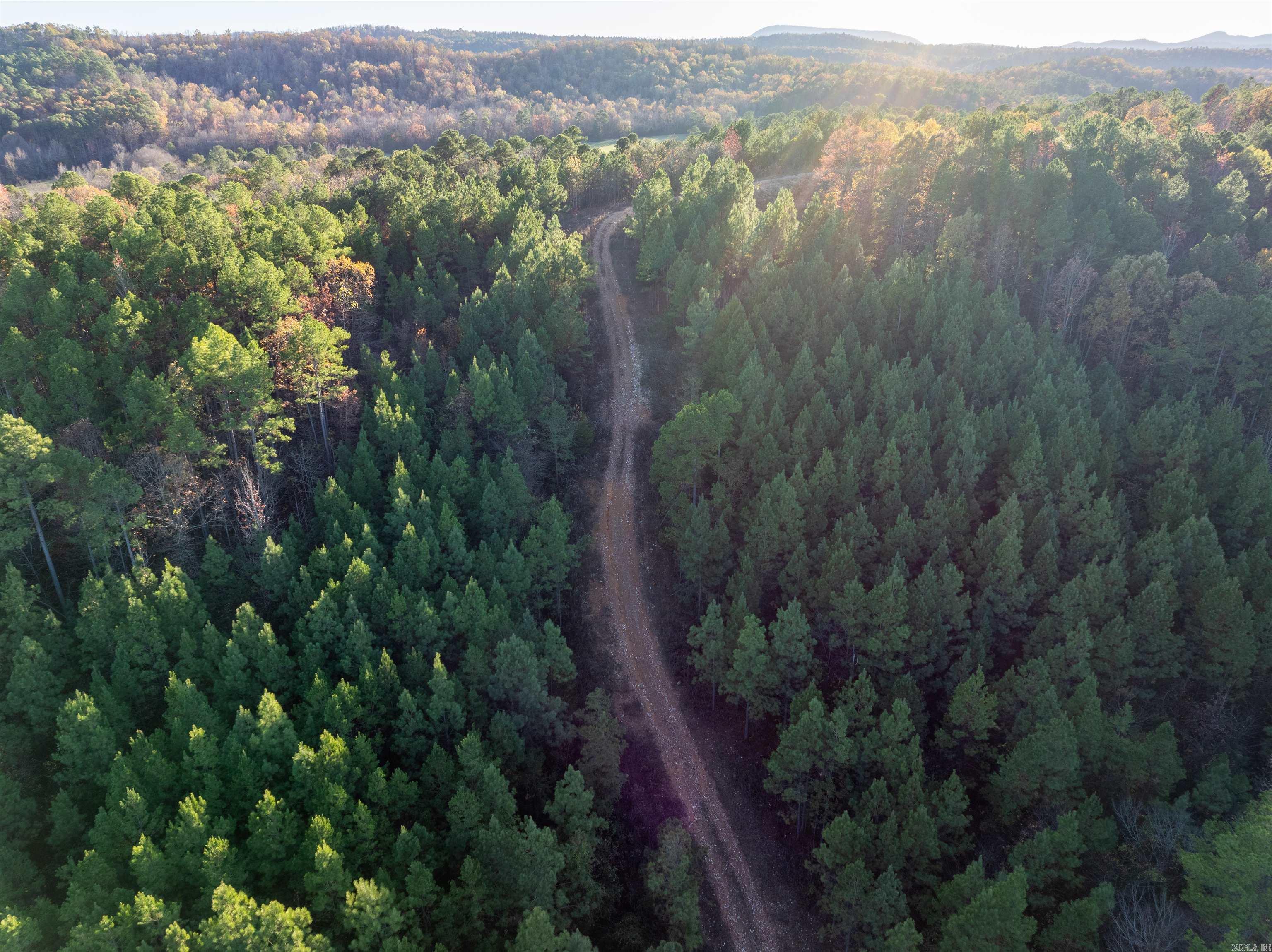 Glorious 42 acre property that offers expansive 360 views overlooking the Ouachita Mountains! Just 5 minutes to Wolf Pen Gap, this scenic spot would make an ideal location to build multiple luxury cabins. Land in Board Camp is hard to come by, so don't miss your opportunity to own in this highly sought after area. Build site has been recently cleared. Electricity on property. Recently surveyed.