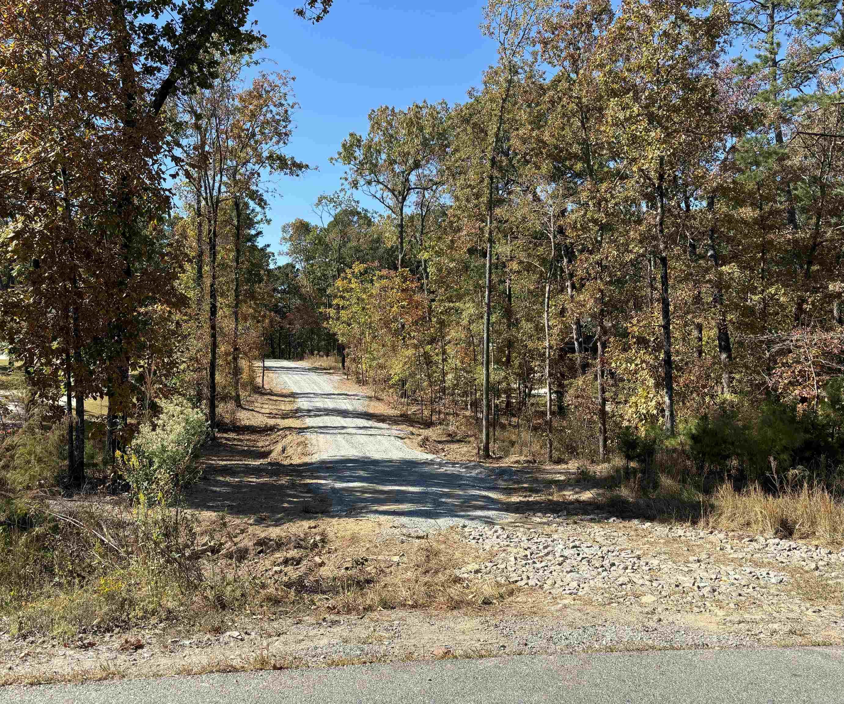 Complete Privacy, Lots of Hardwoods, nice level area for home!! This land has access to Hurricane lake. Close to schools, shopping and interstate.
