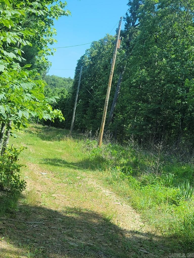 Attention Hunters - 20 wooded acres just for you. Bring your 4 wheeler or side by side and check it out. A truck would make it easier to access. Showings by appointment only. Please text or call agent. Currently bid on this property on Hubzu.