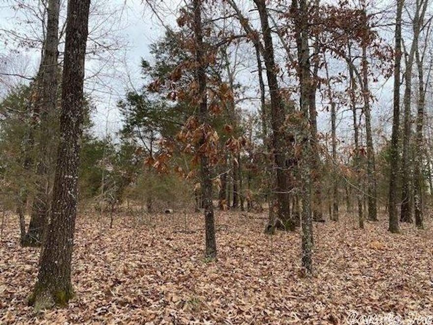 Level Lot close to Crown Lake. This lot is located in Horseshoe Bend, Arkansas.