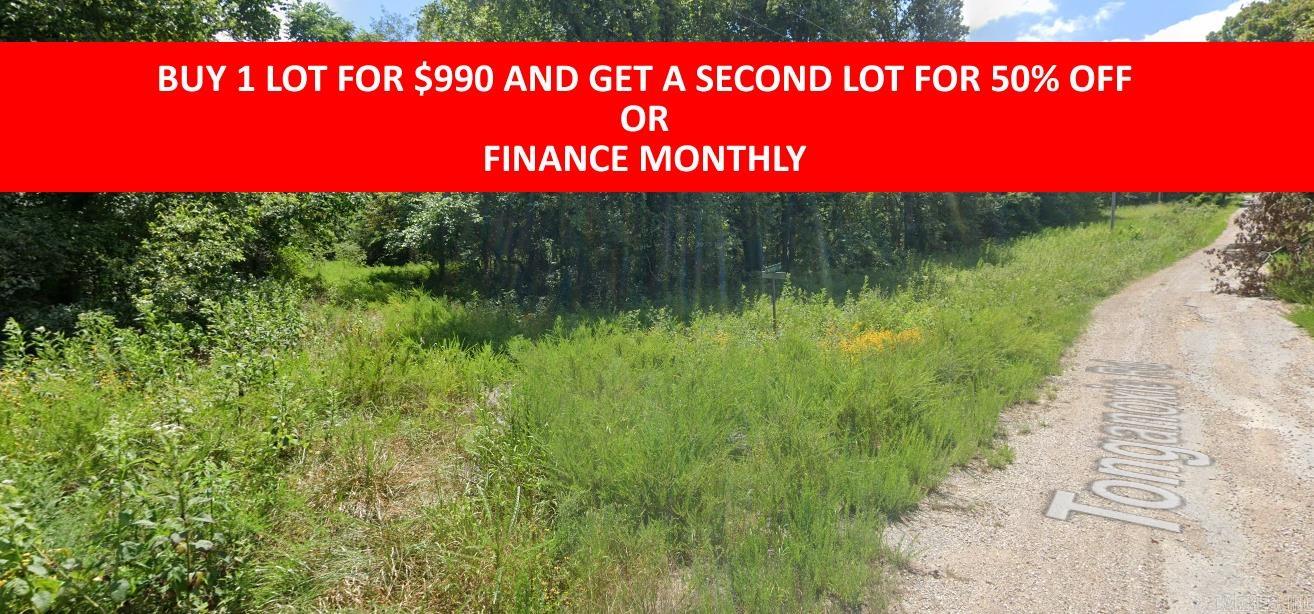 Buy one lot and get 50% off an additional lot! Owner-finance for easy terms. Cash buyers can pay by debit or credit card as well. Nice lot to develop or hold for future value. Public water and electric are available to run to property and will need septic. Owner/agent. No mobiles allowed. 600-2500 minimum build size on any other type of home, depending on subdivision. Finance is $100 down and 10 months at $99 and closing costs are included. Lots marked with red banner are part of promotion. No limit on lots. Buyer responsible for any/all taxes and lots sold "as-is". Quit claim deed conveys. Parcel ID# 210-14119-000