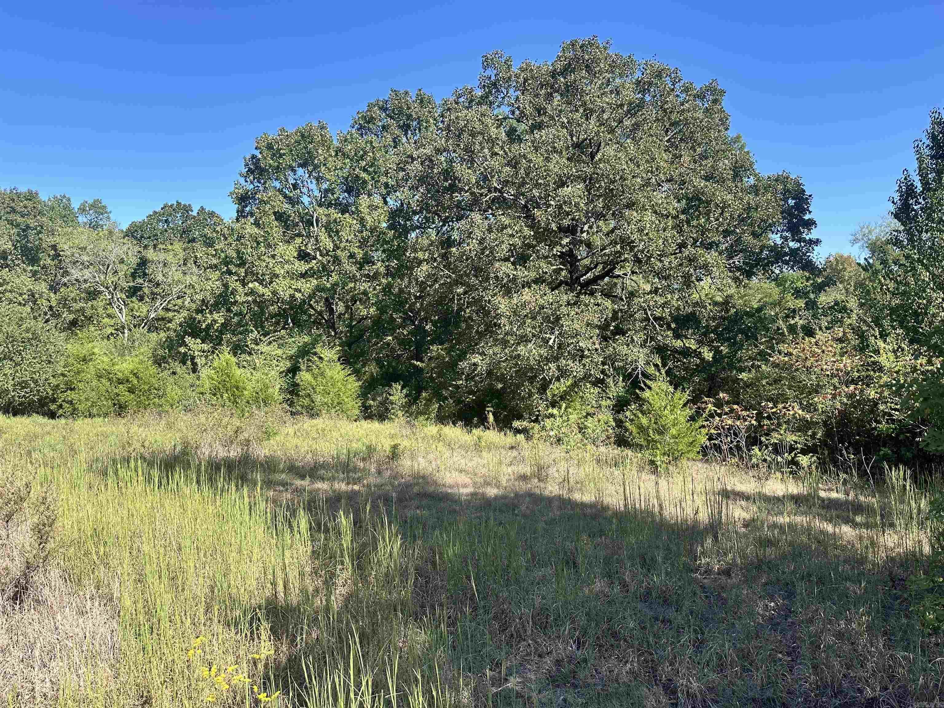This 1.32-acre vacant land parcel in Wrightsville, AR offers a great opportunity for development or investment! It provides ample space for potential outdoor activities or personal use, making it a valuable piece of property!