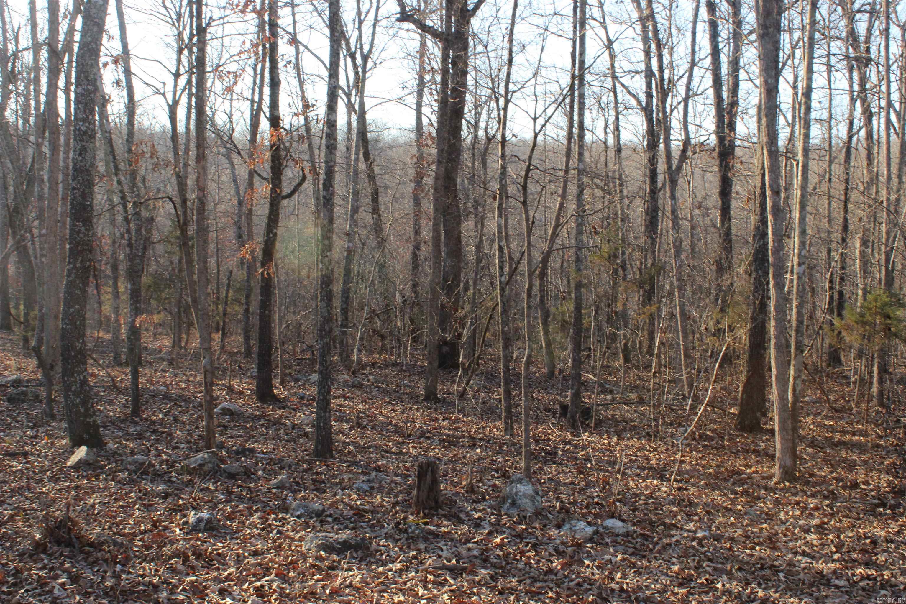 Not in Subdivision - Land