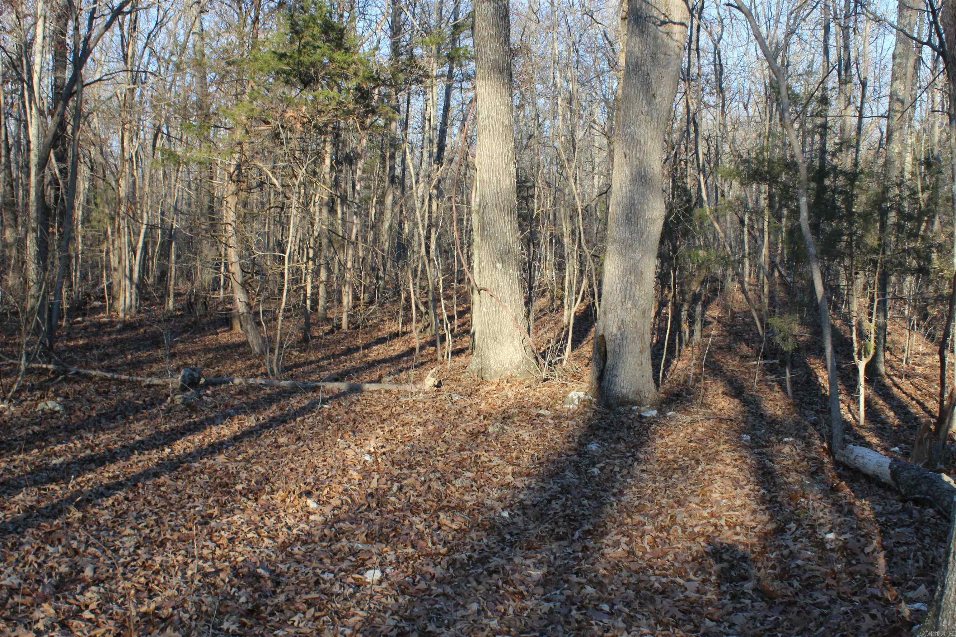 Not in Subdivision - Land