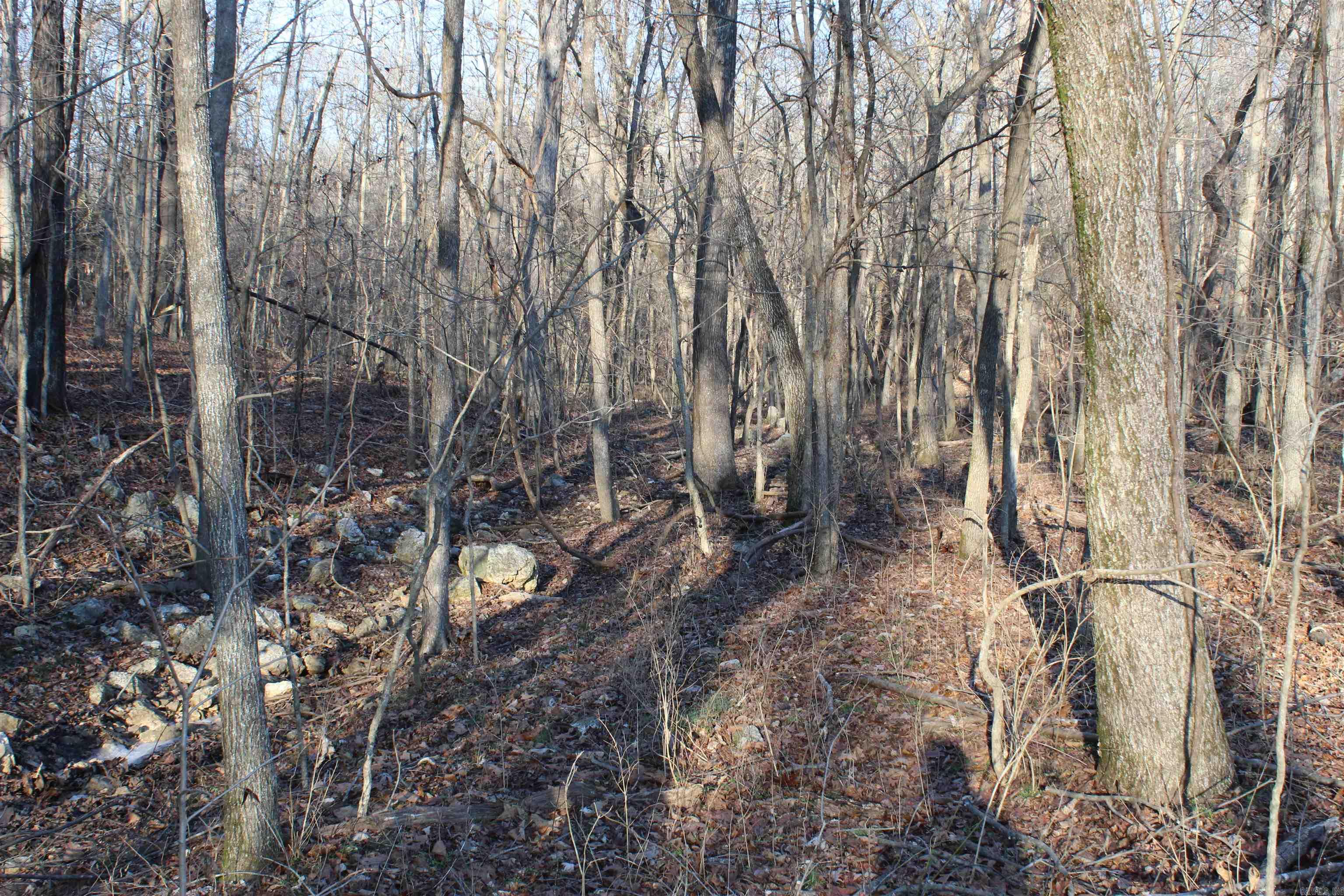 Not in Subdivision - Land