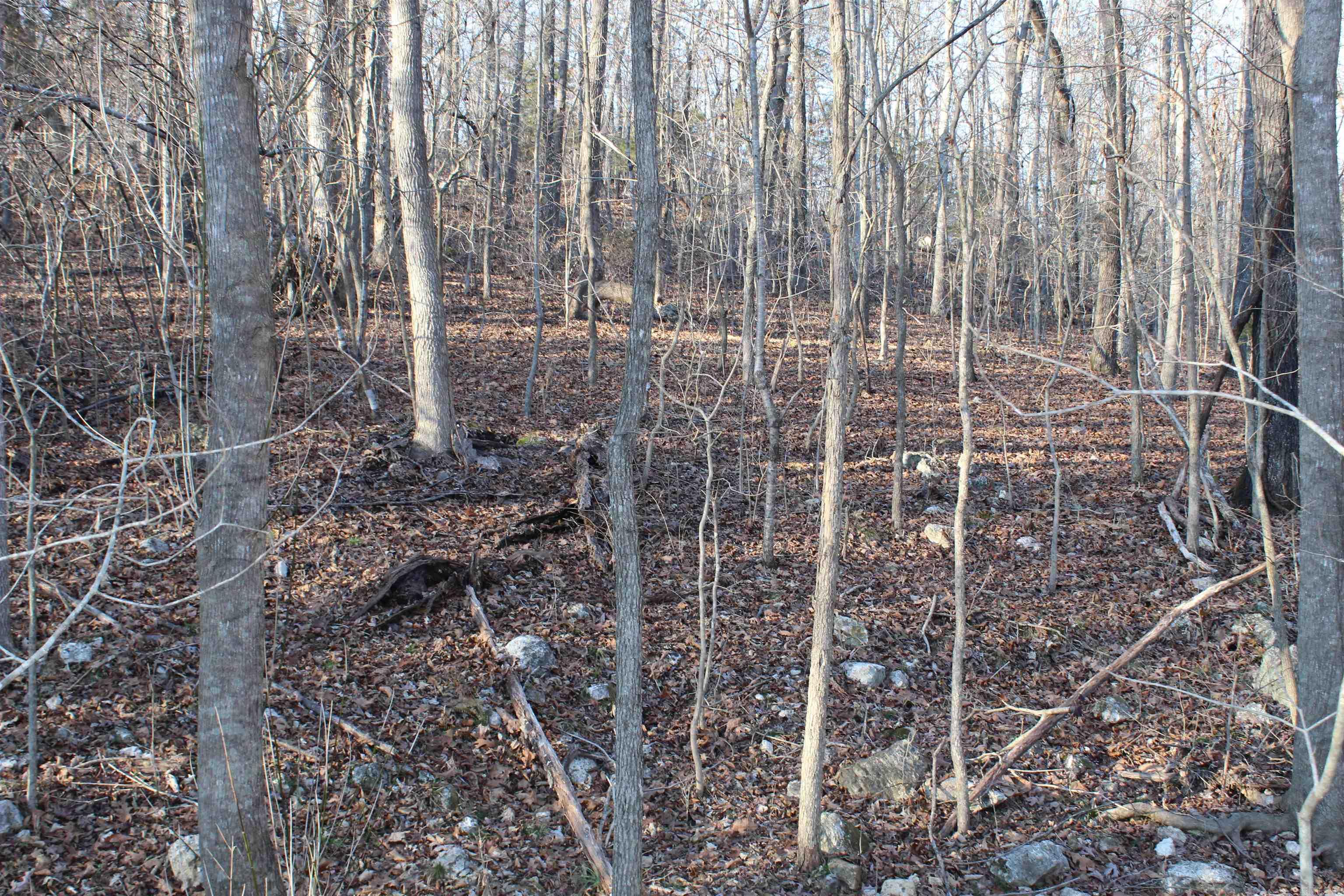 Not in Subdivision - Land