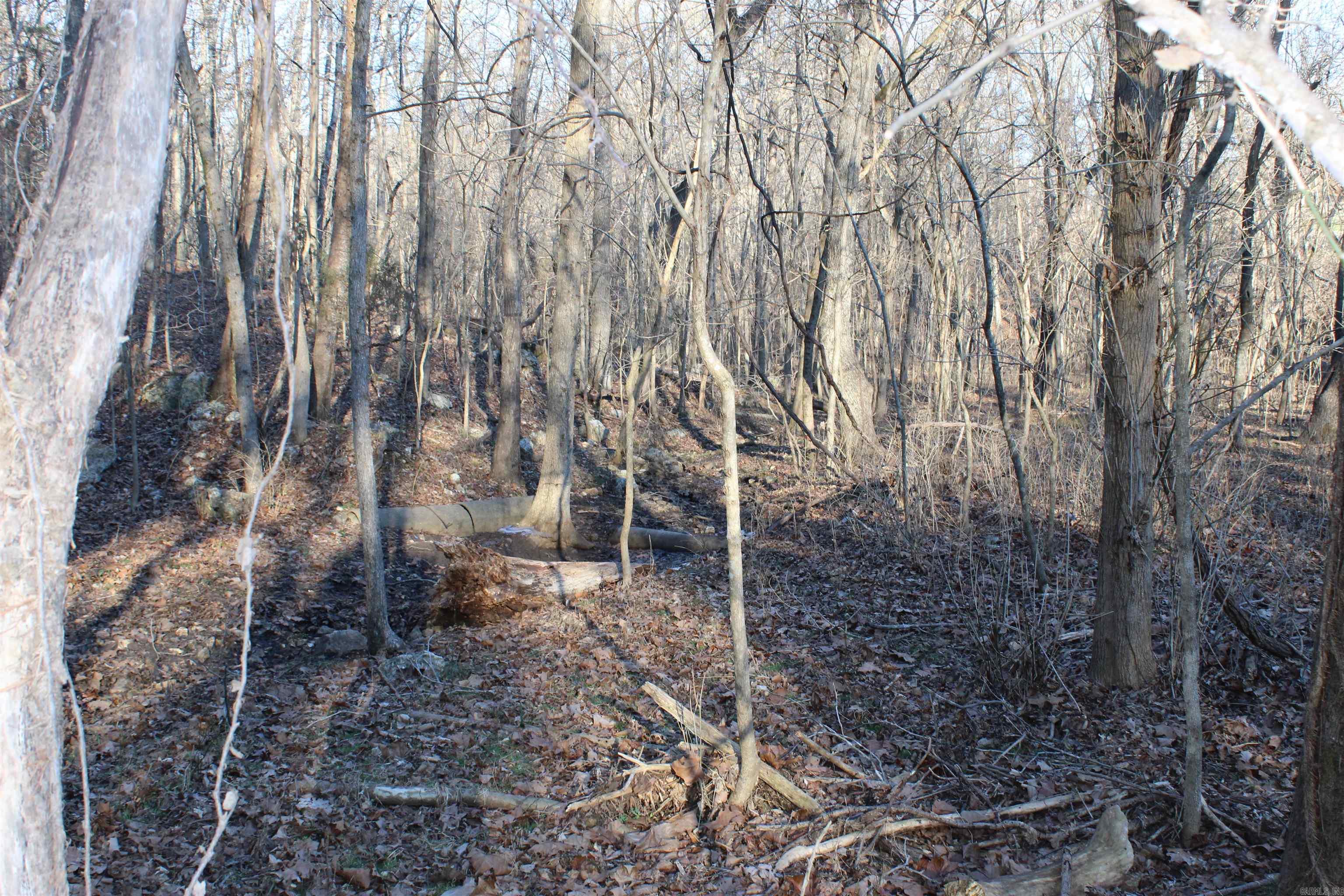 Not in Subdivision - Land