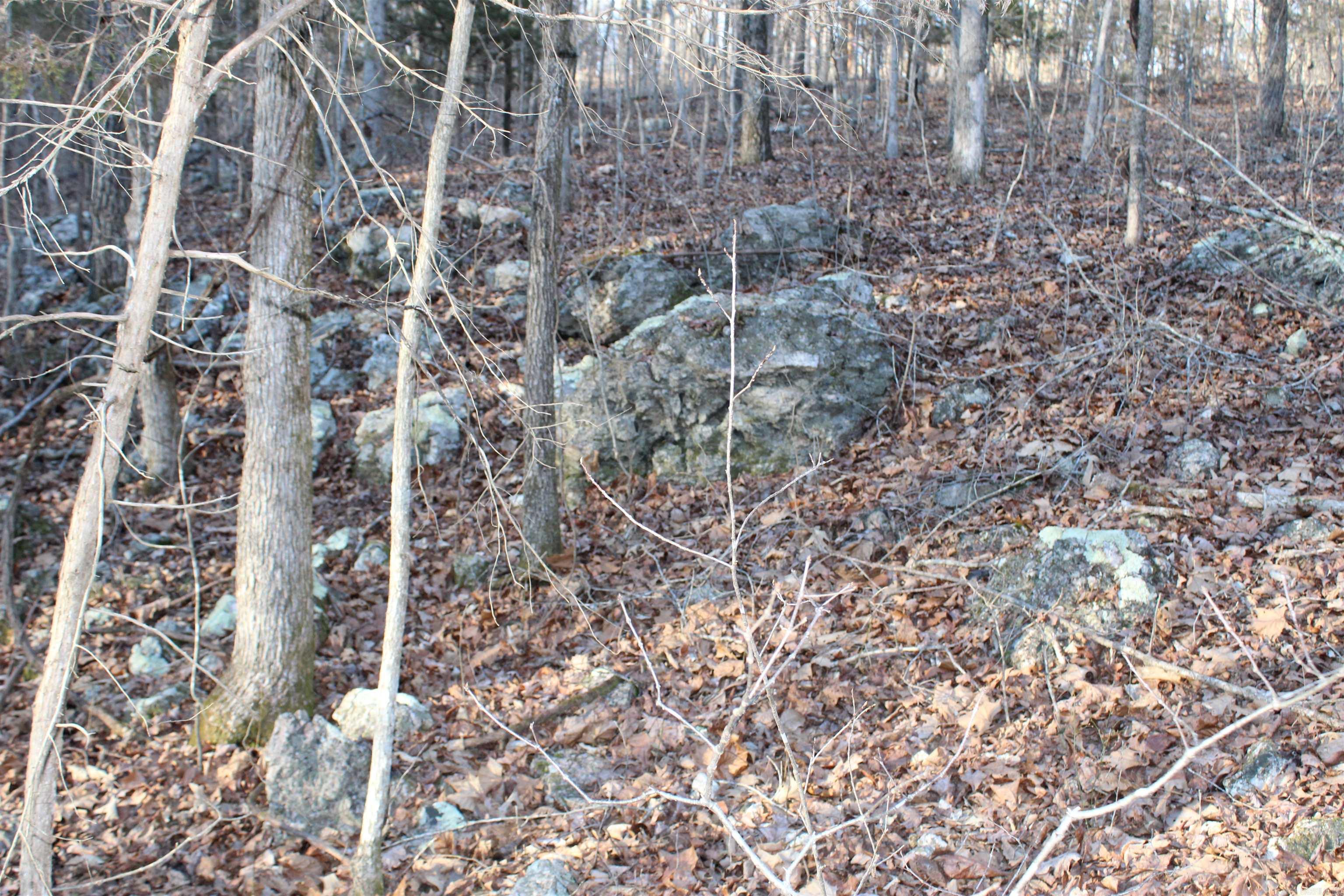 Not in Subdivision - Land