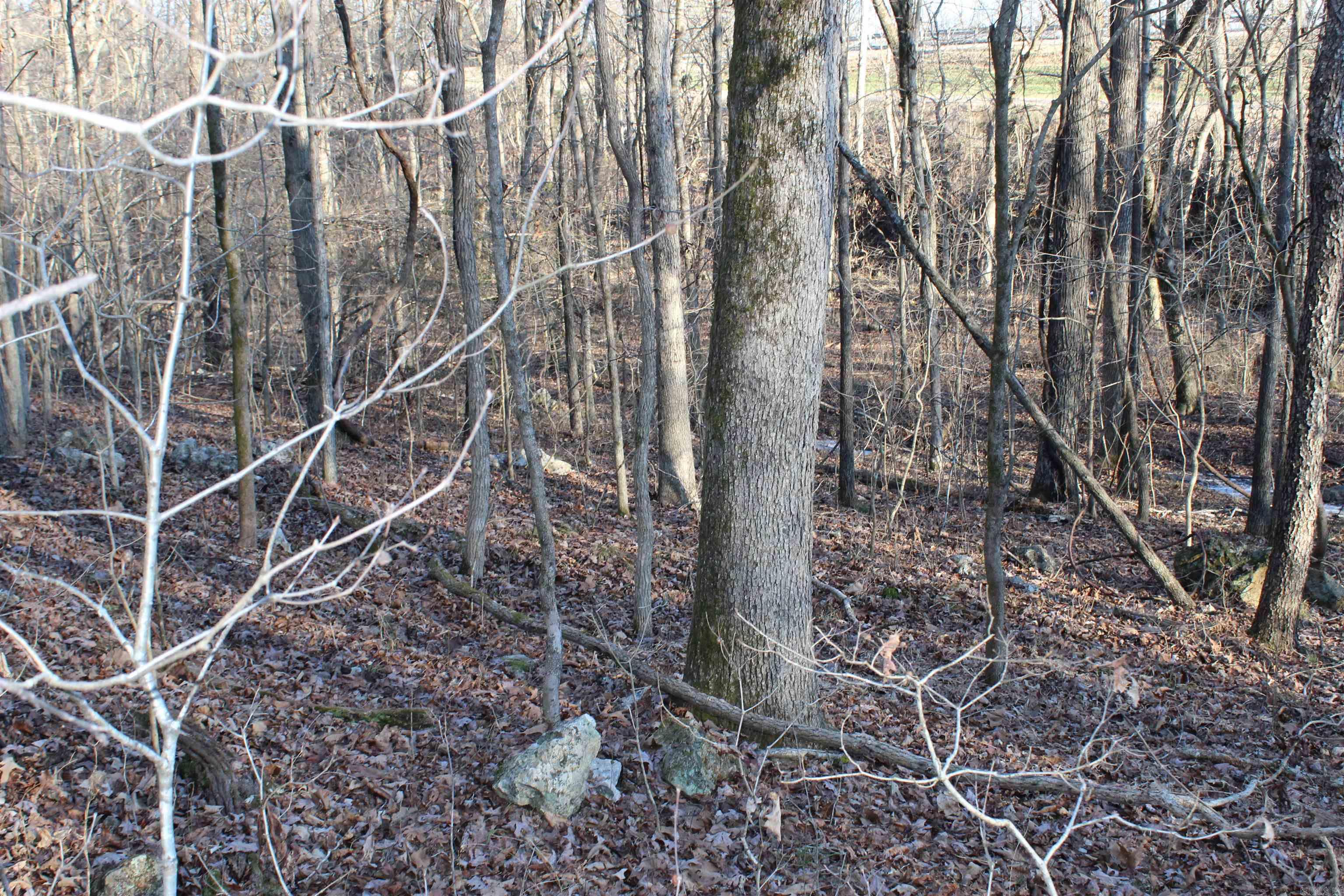 Not in Subdivision - Land