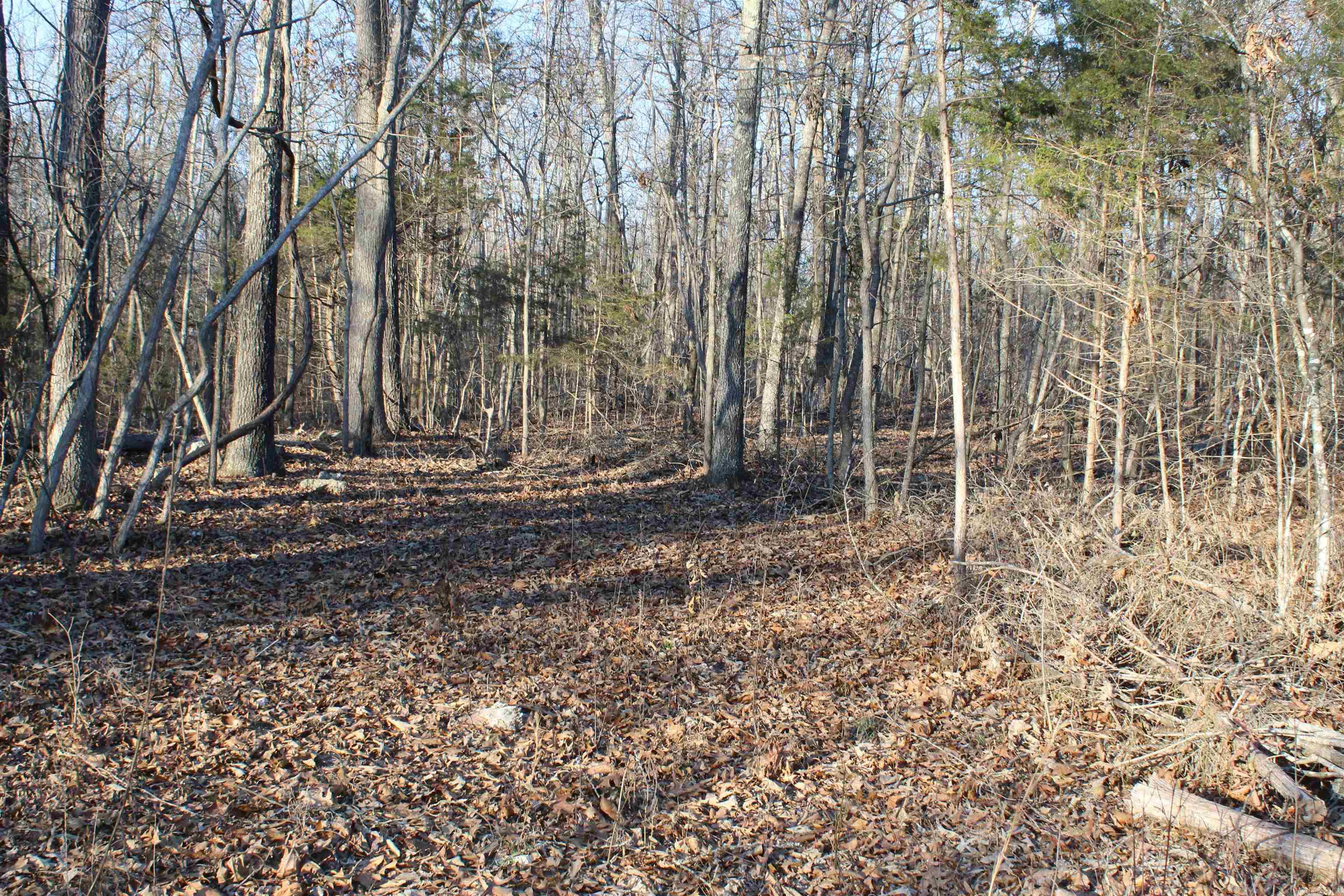 Not in Subdivision - Land