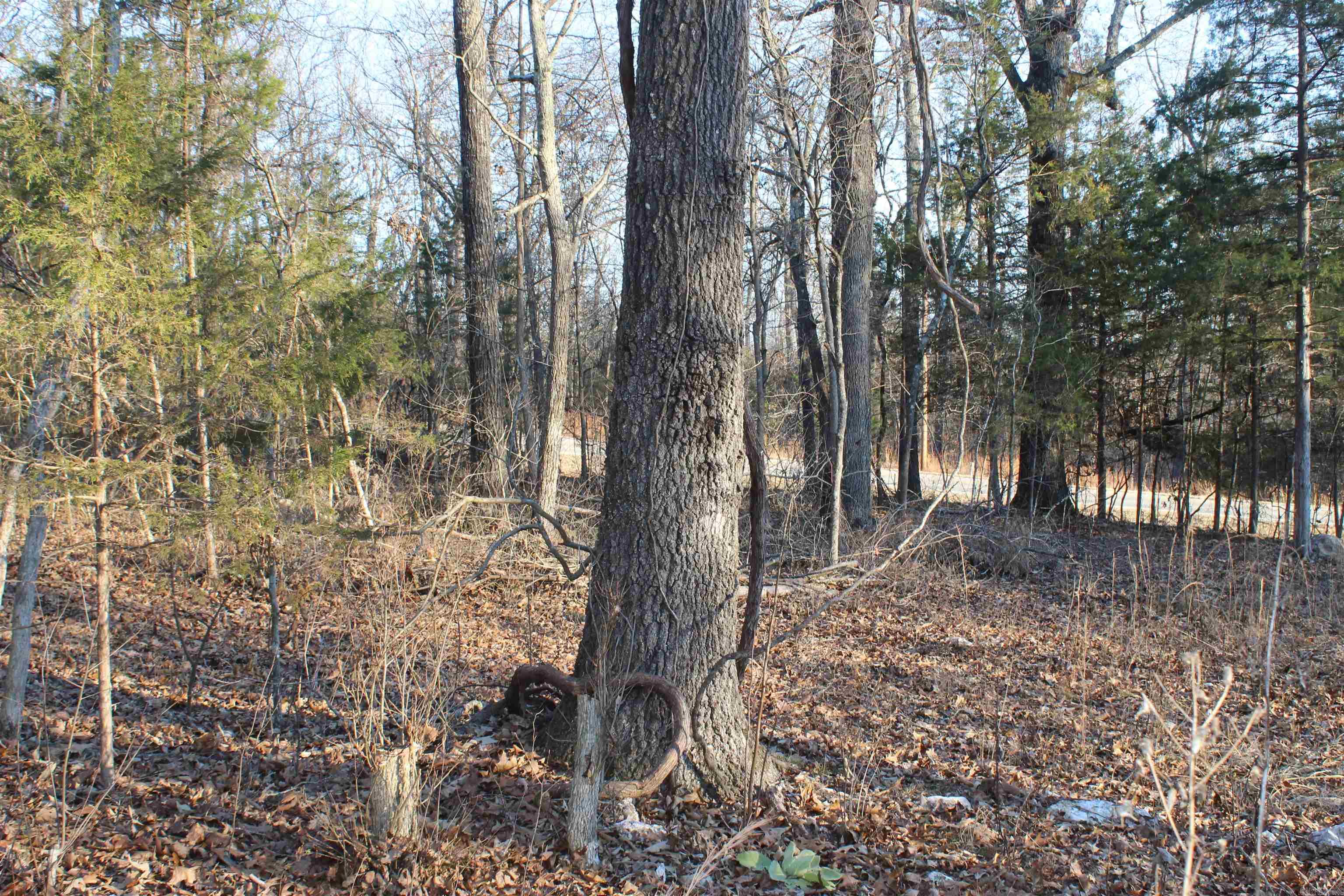 Not in Subdivision - Land