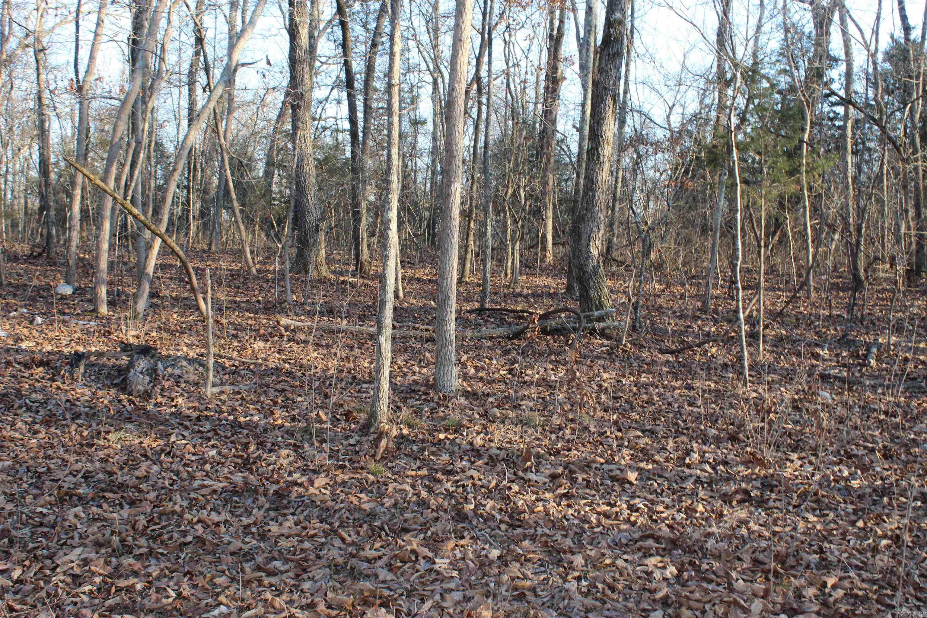 Not in Subdivision - Land