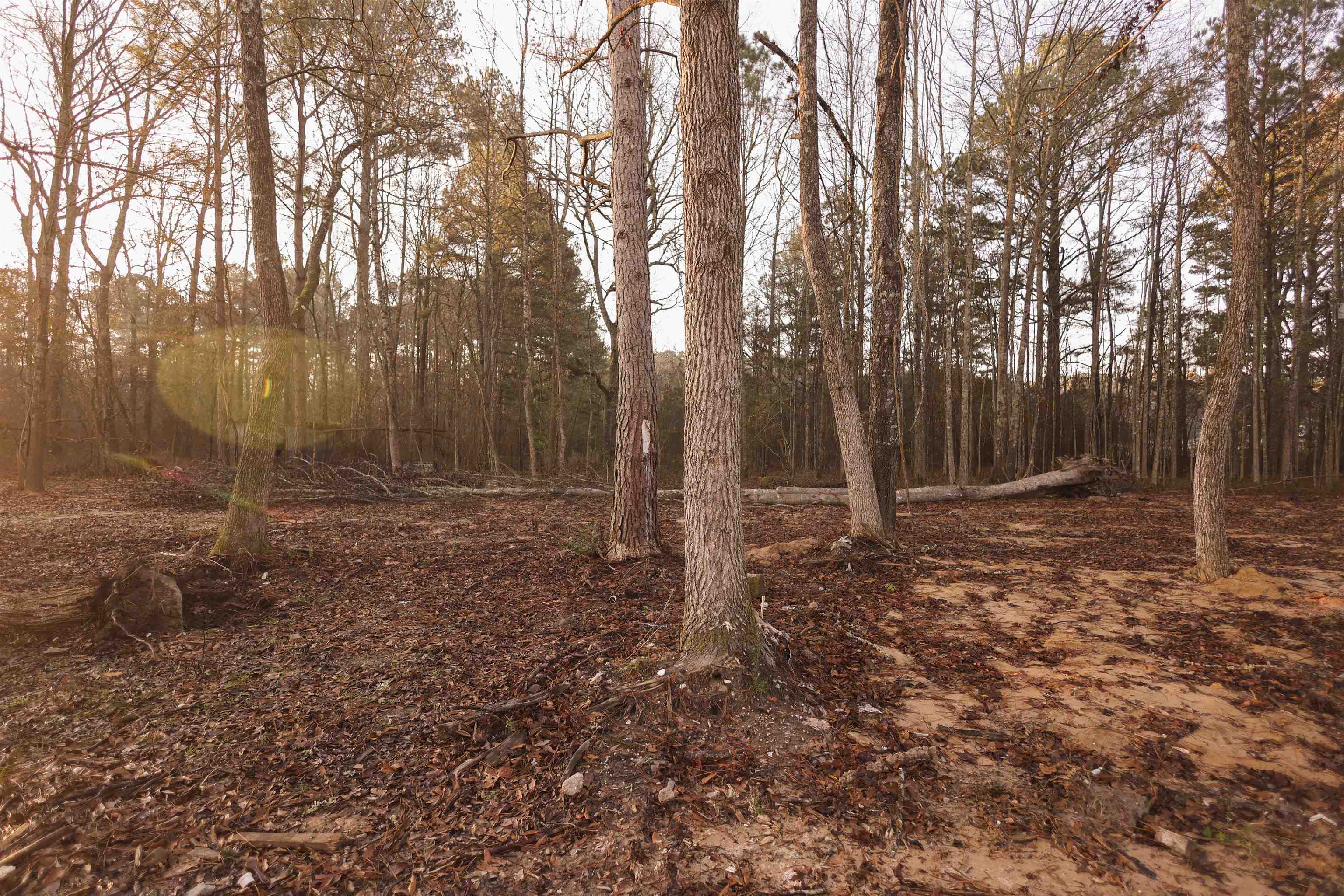 COLE CORNER SUBDIVISION - Residential