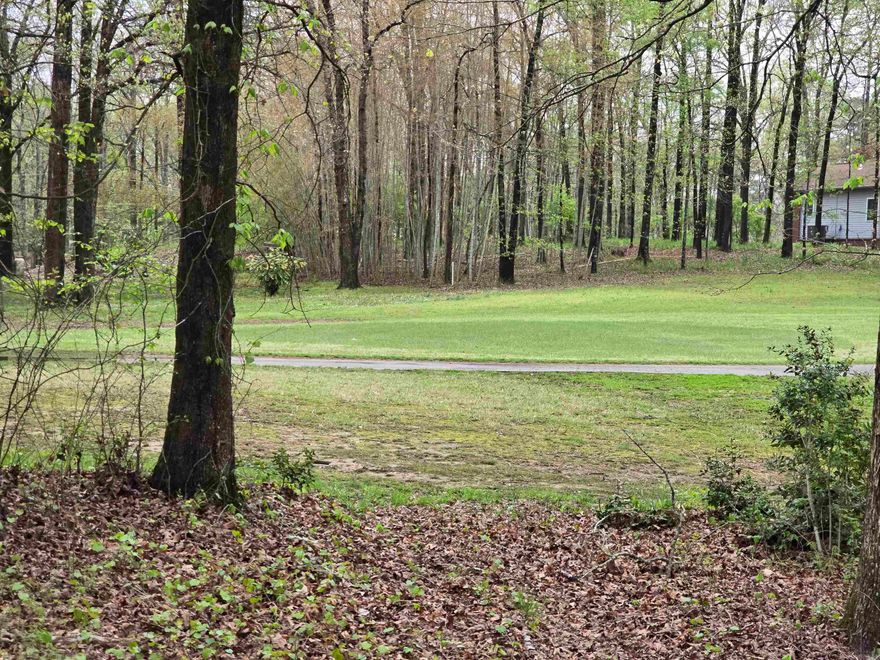 overlooking 6th fairway with beautiful views! Come join the fun live in Diamondhead, (a small town community) with lots to offer. Lake access, golfing, tennis, pickleball, swimming, community library, community activities. Close to Hot Springs & Lake Catherine State Park with hiking water falls and park programs. Ask listing agent for builder information.