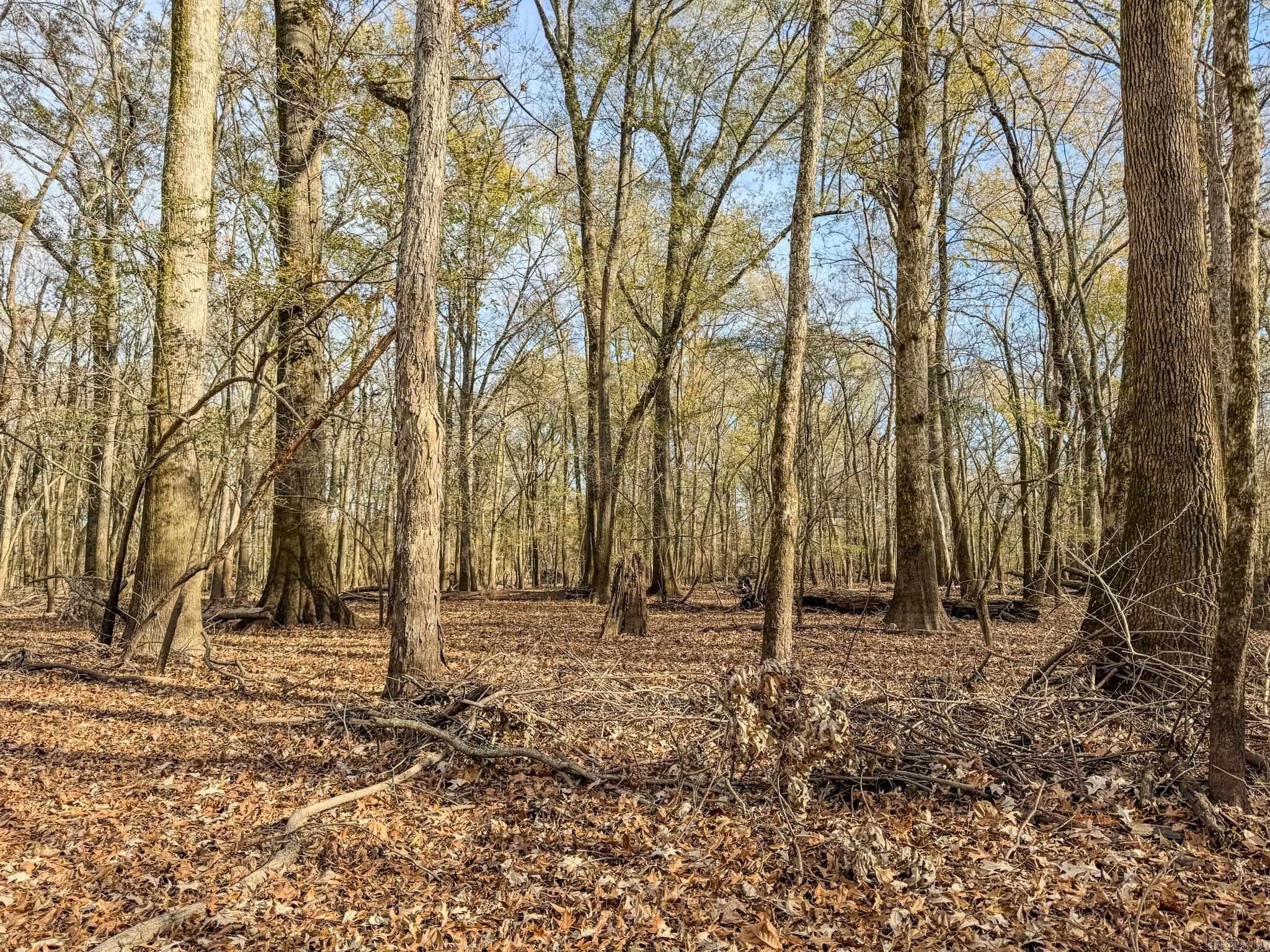 Metes & Bounds - Farm